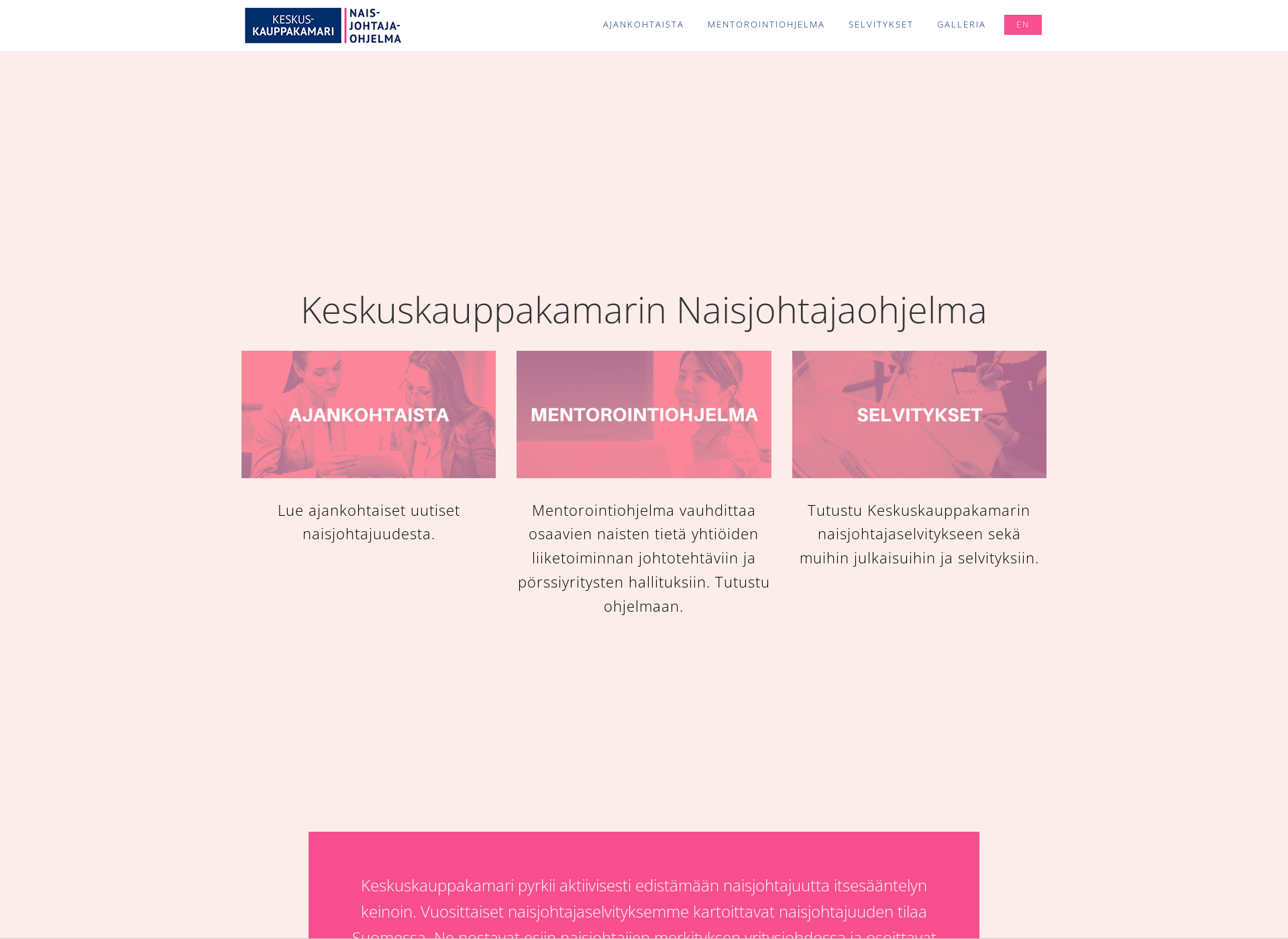 Screenshot for naisjohtajat.fi