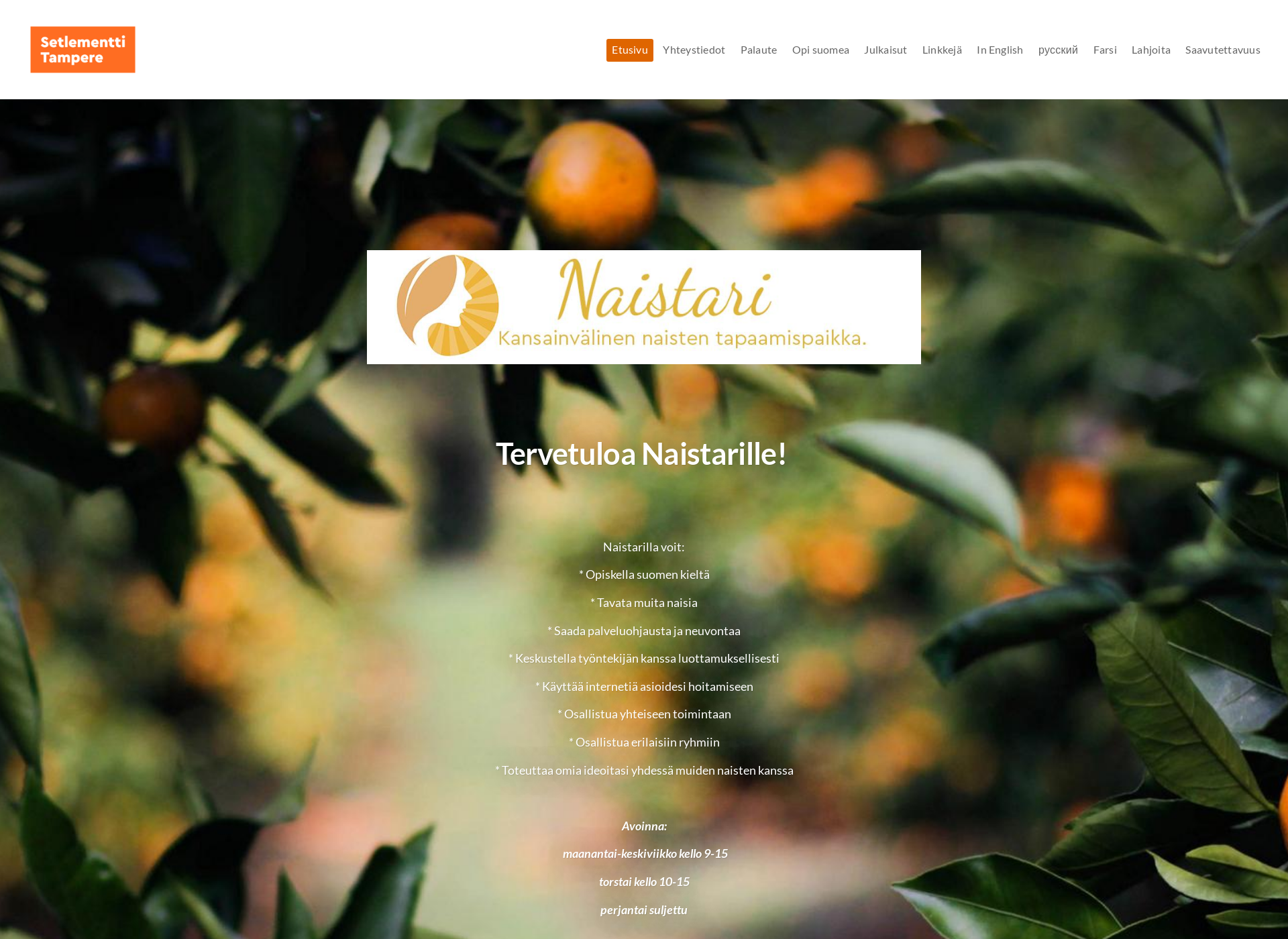 Screenshot for naistari.fi