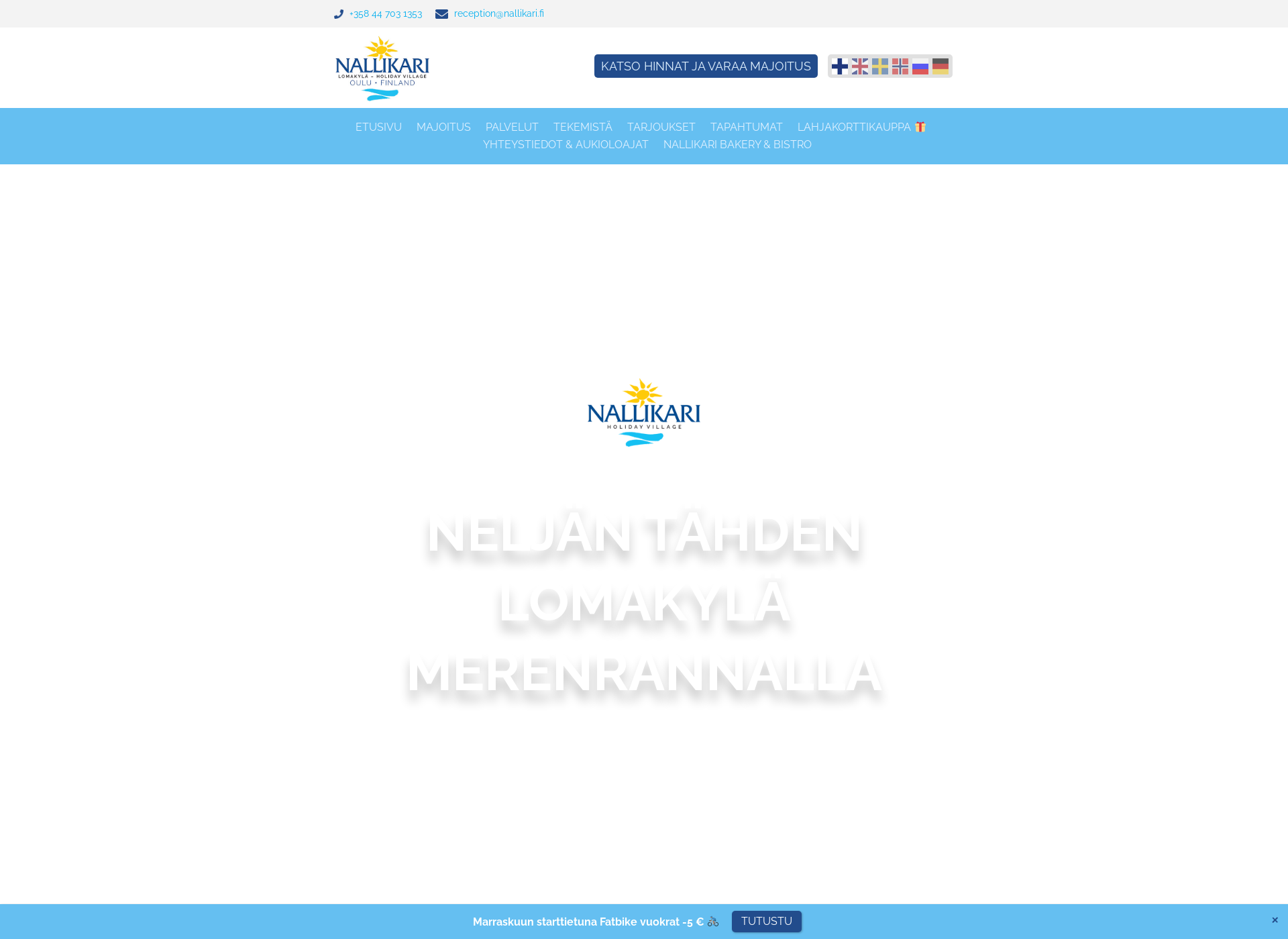 Screenshot for nallikari.fi