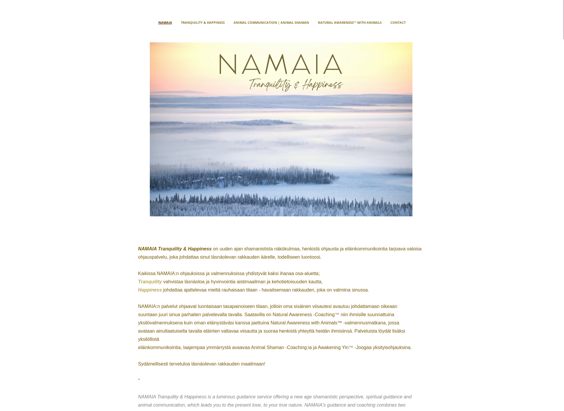 Screenshot for namaia.fi