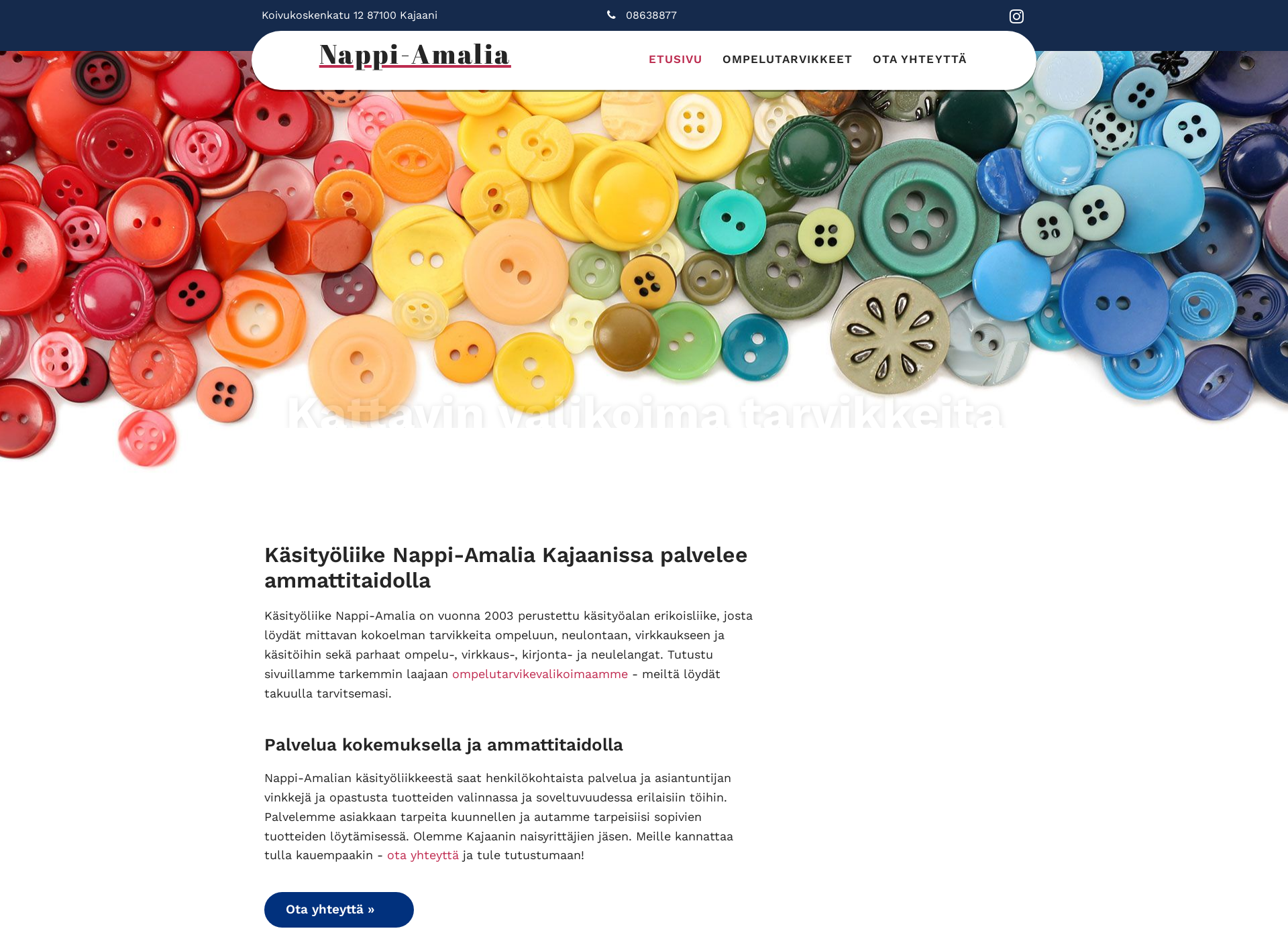 Skärmdump för nappi-amalia.fi
