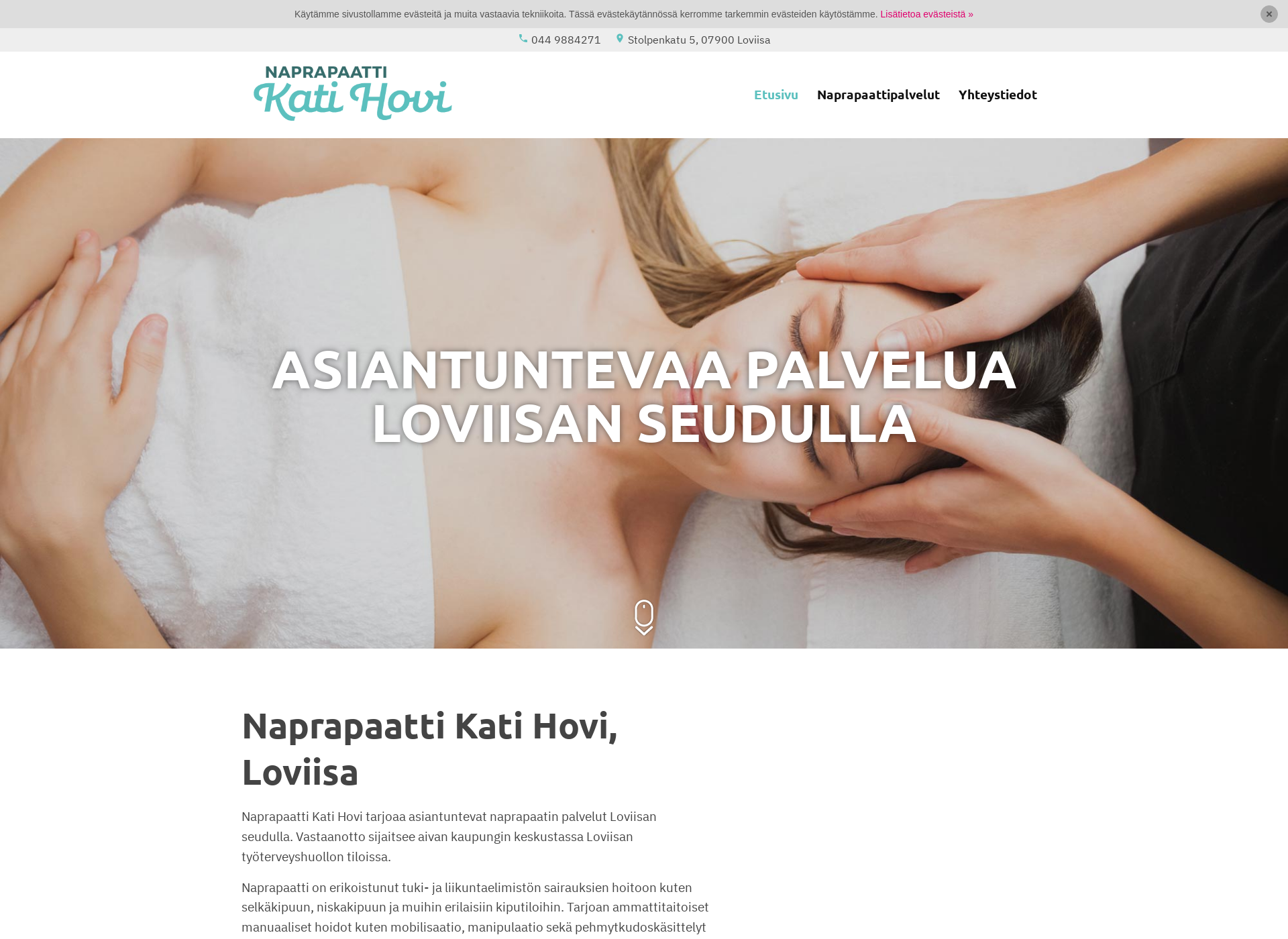 Screenshot for naprapaattiloviisa.fi
