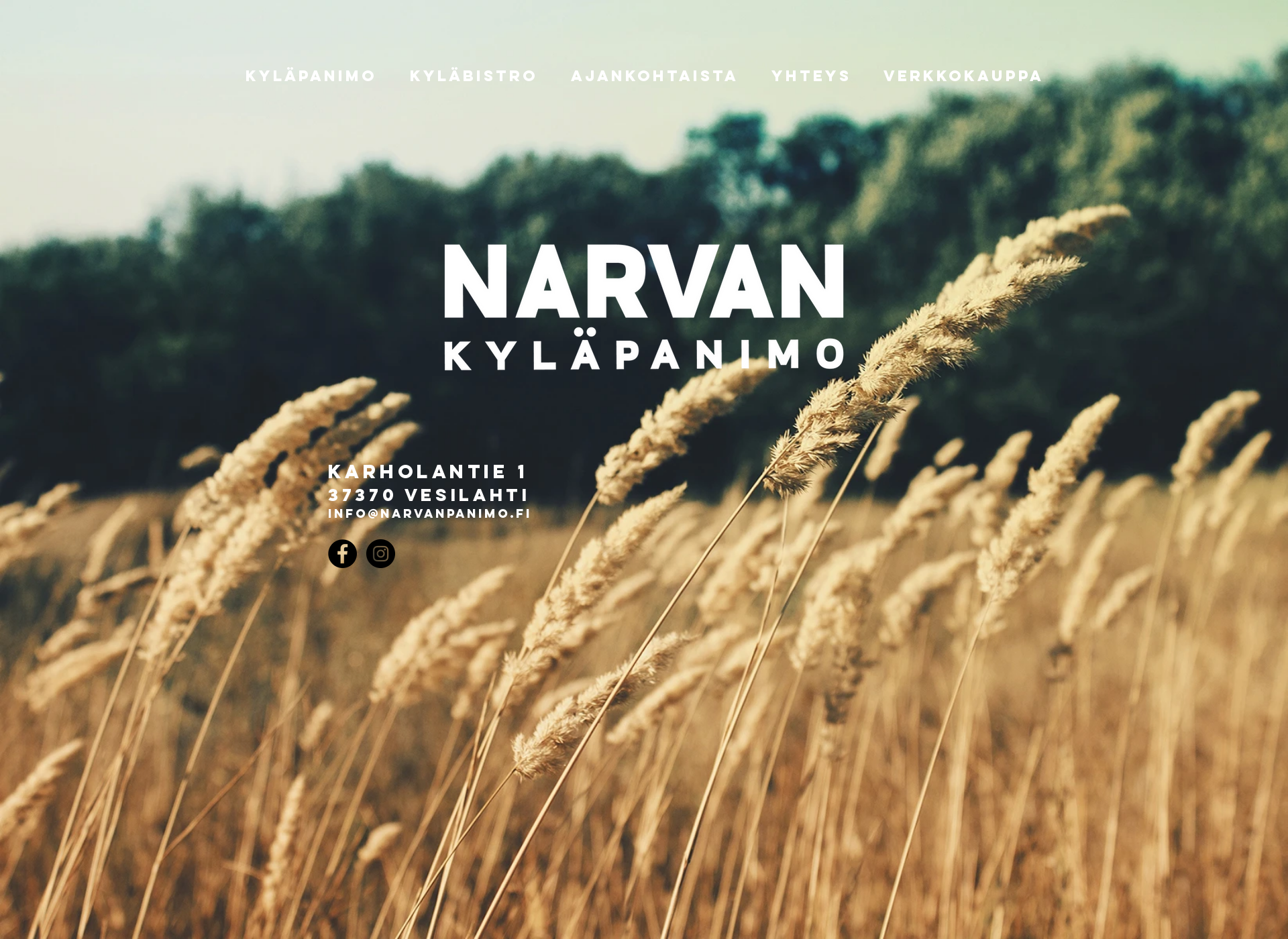 Screenshot for narvankylapanimo.fi