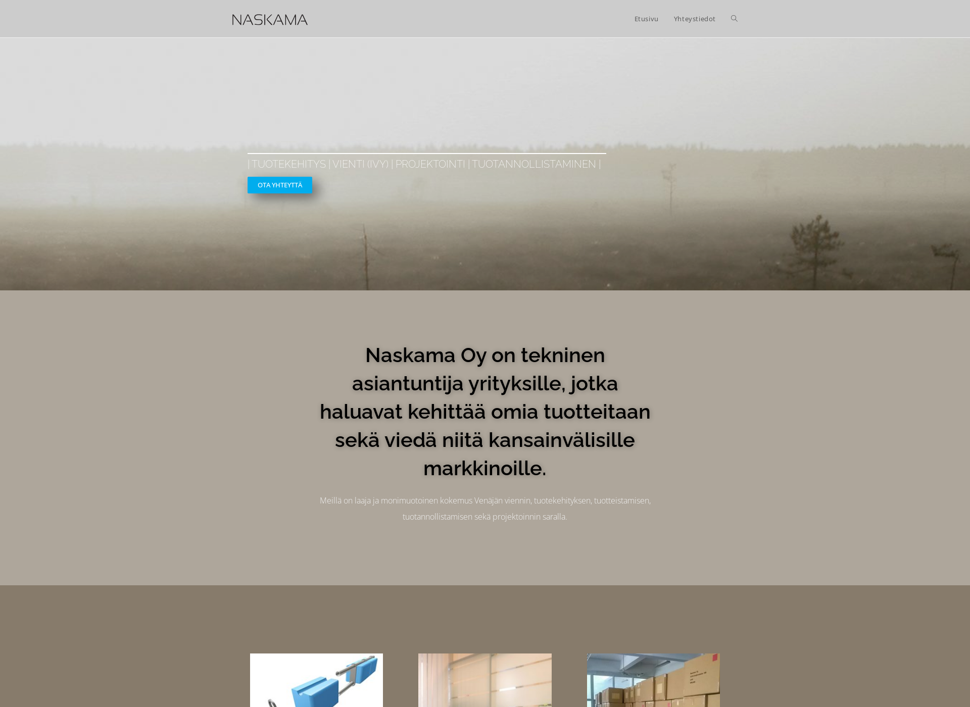 Screenshot for naskama.fi