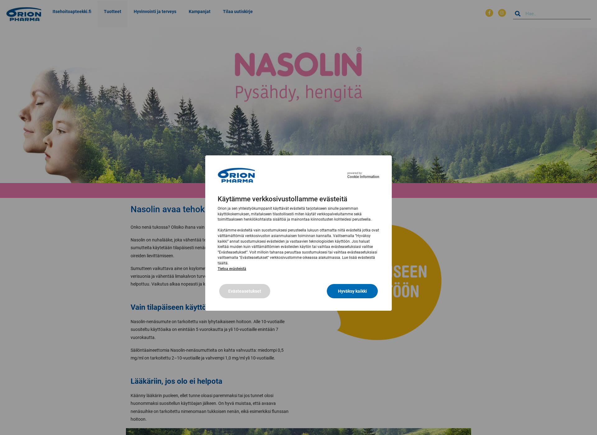 Screenshot for nasolin.fi