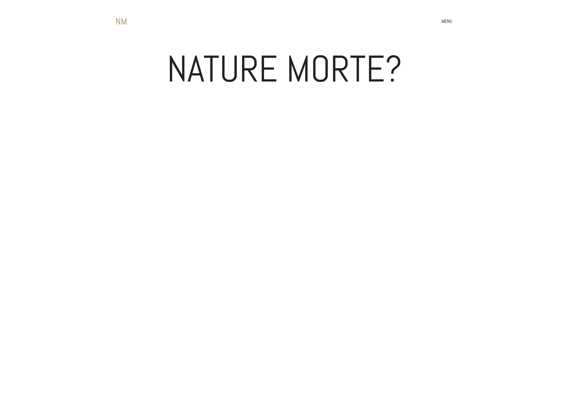 Screenshot for naturemorte.fi