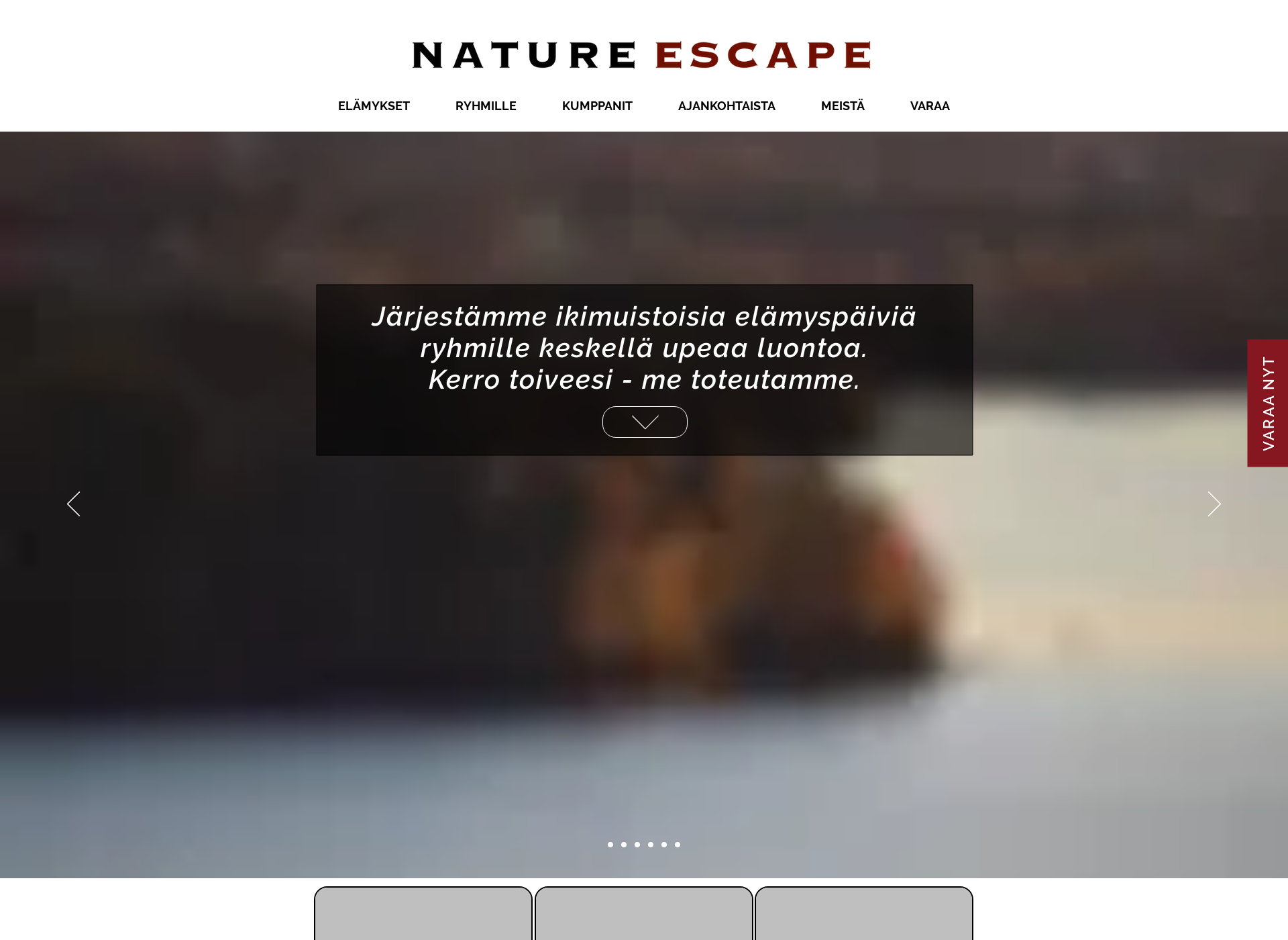 Näyttökuva naturescape.fi
