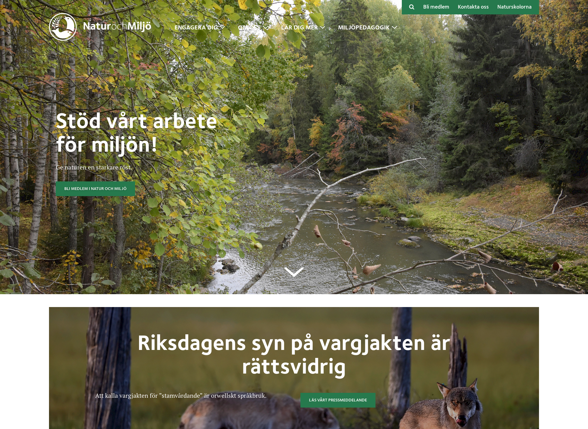 Screenshot for naturochmiljo.fi
