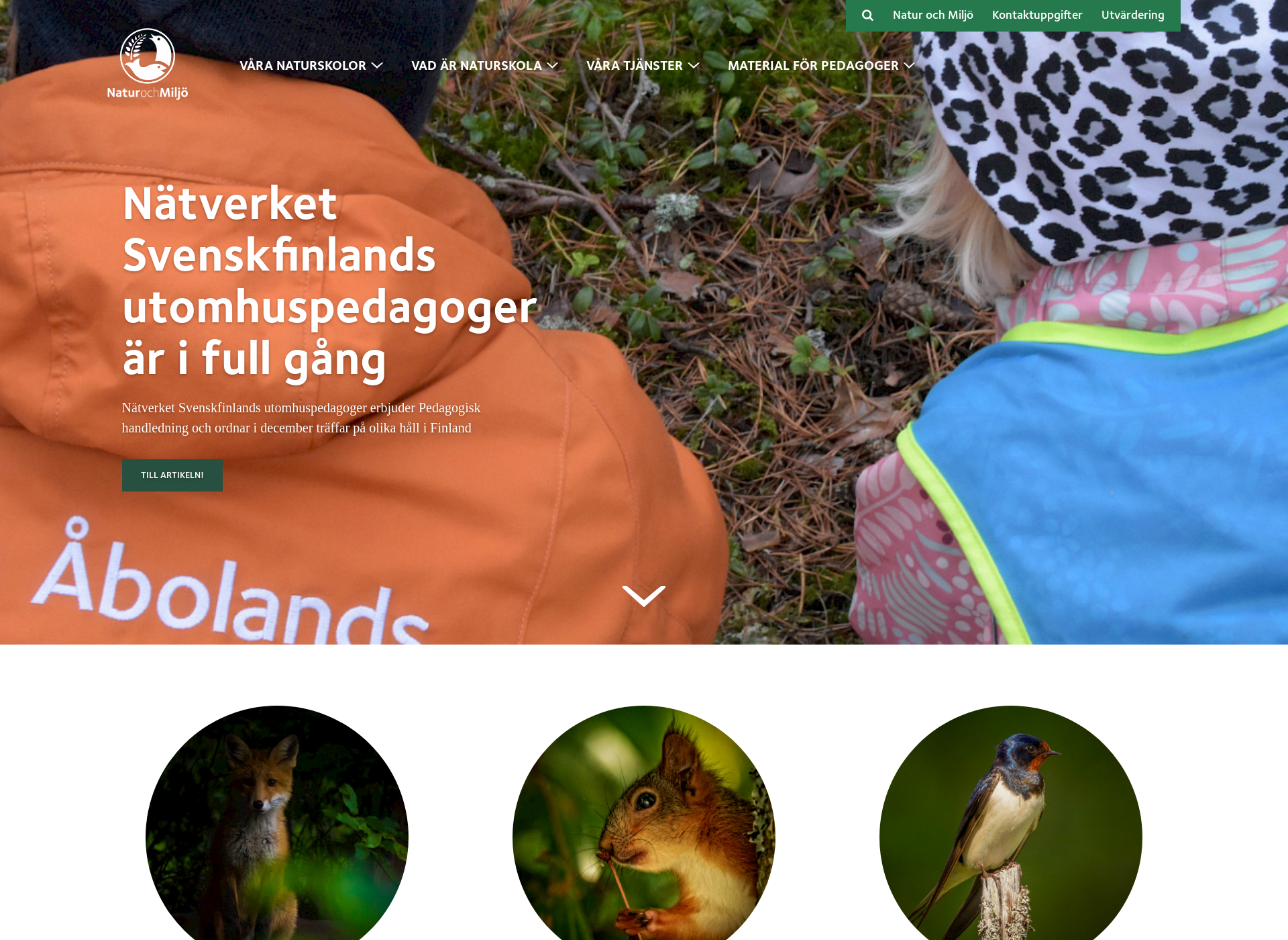 Screenshot for naturskola.fi