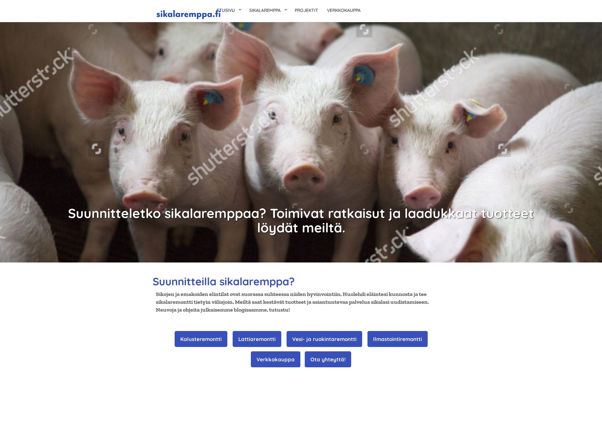 Screenshot for navettaremppa.fi