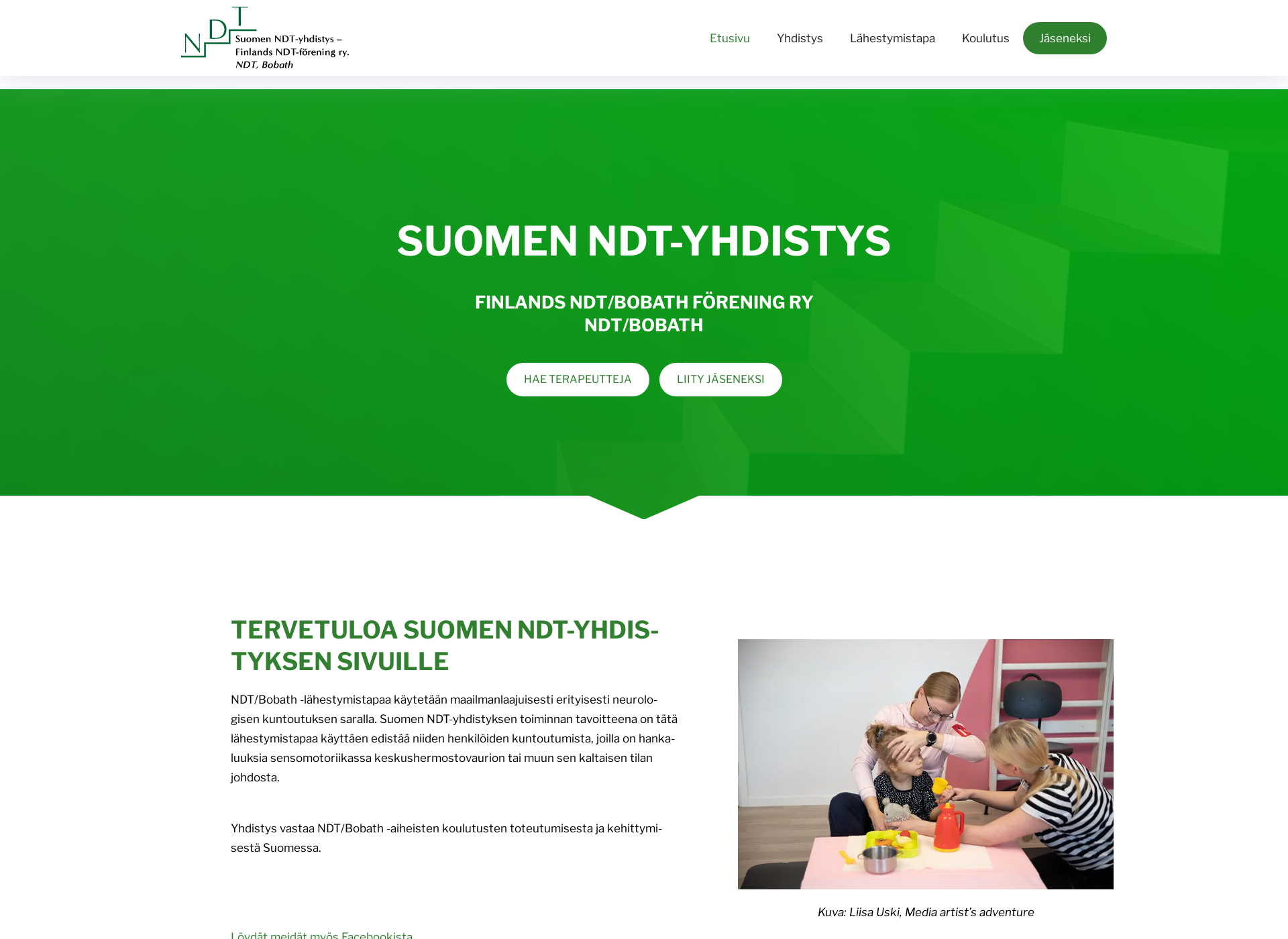Screenshot for ndt-yhdistys.fi