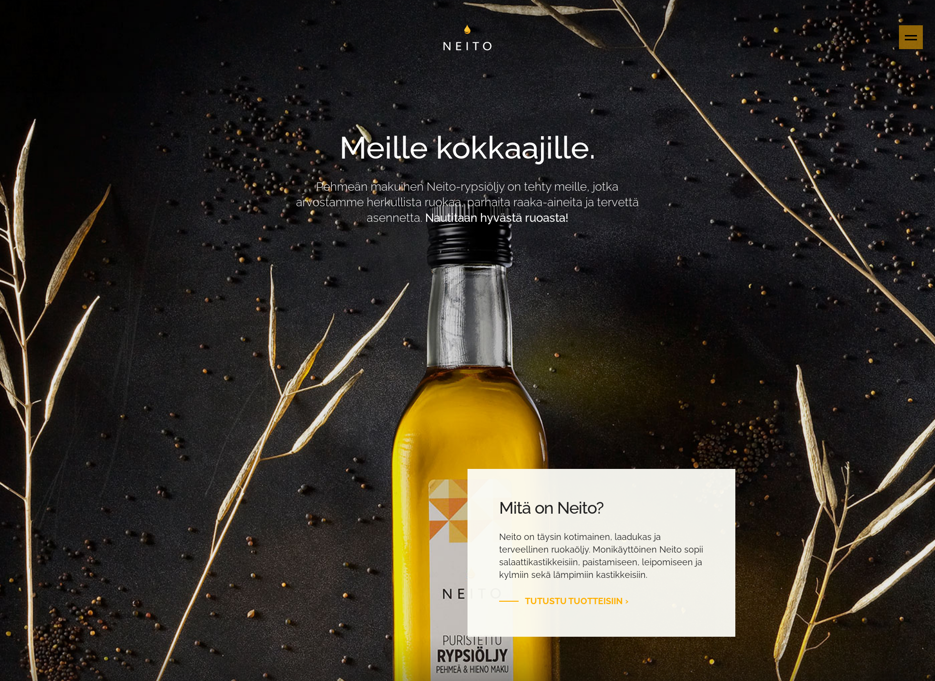 Screenshot for neito.fi