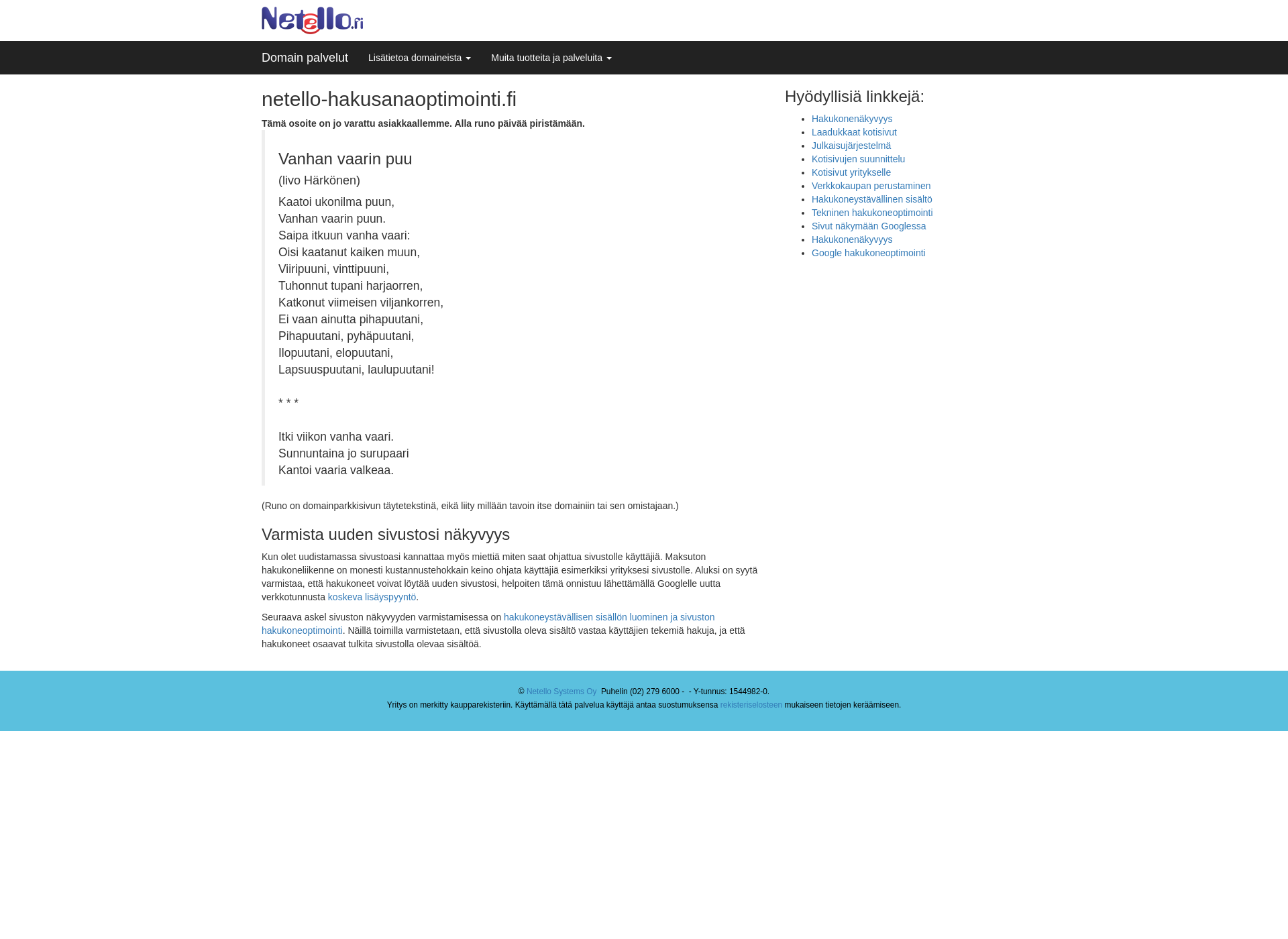 Screenshot for netello-hakusanaoptimointi.fi
