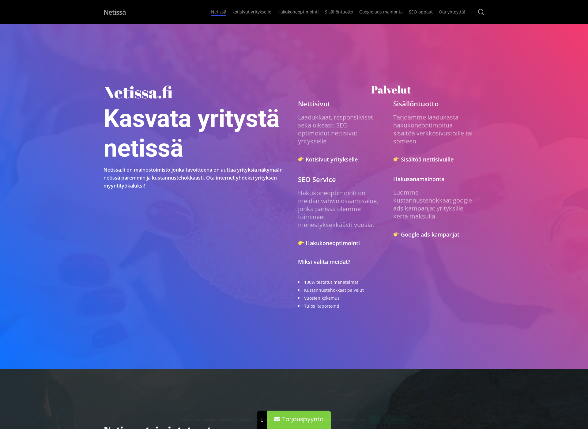 Screenshot for netissa.fi