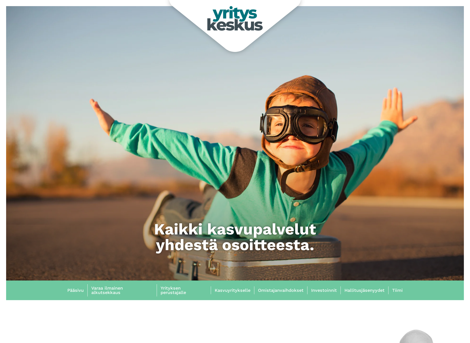 Screenshot for netpartner.fi