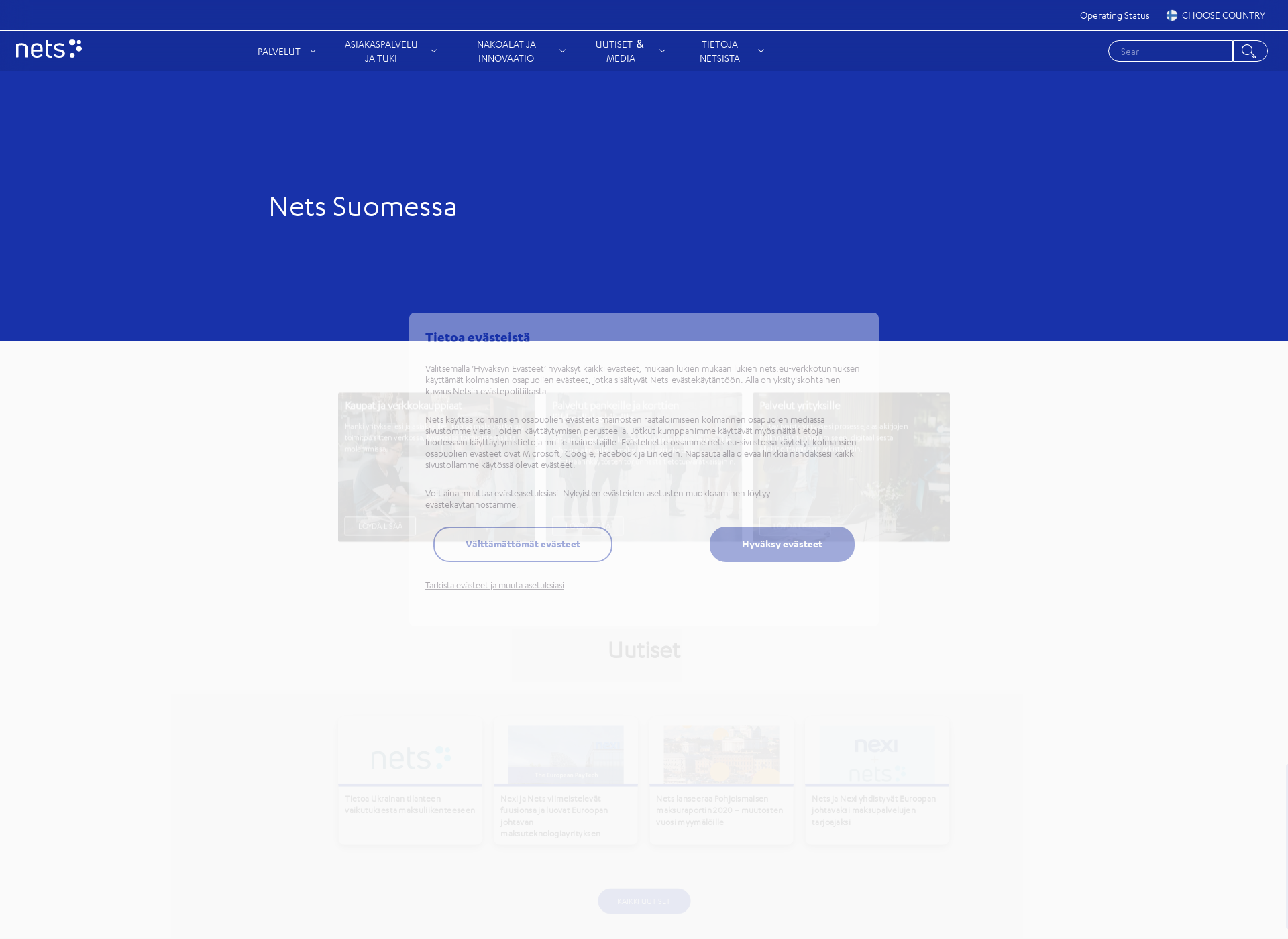 Screenshot for nets-pay.fi