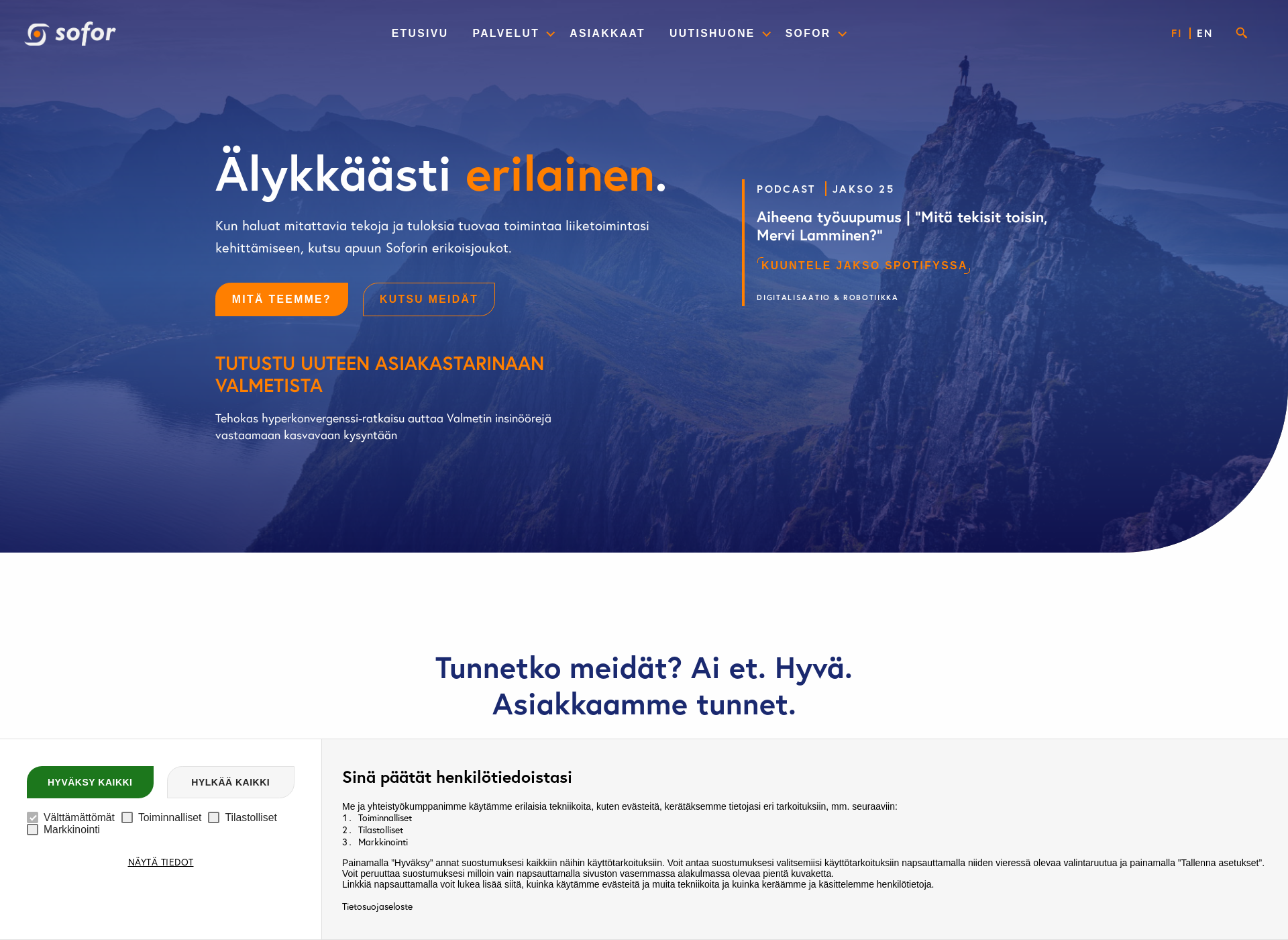 Skärmdump för netservant.fi