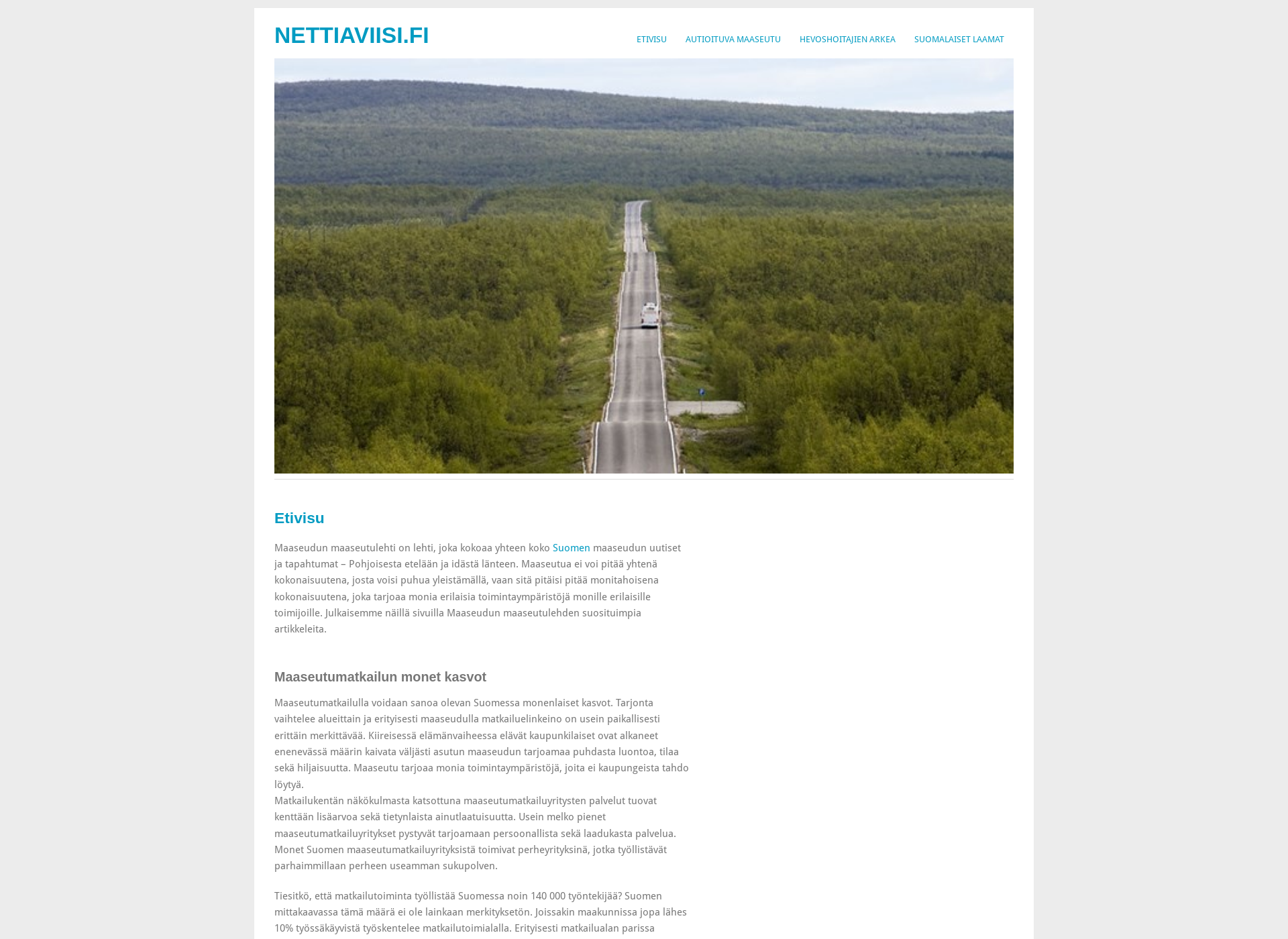 Screenshot for nettiaviisi.fi