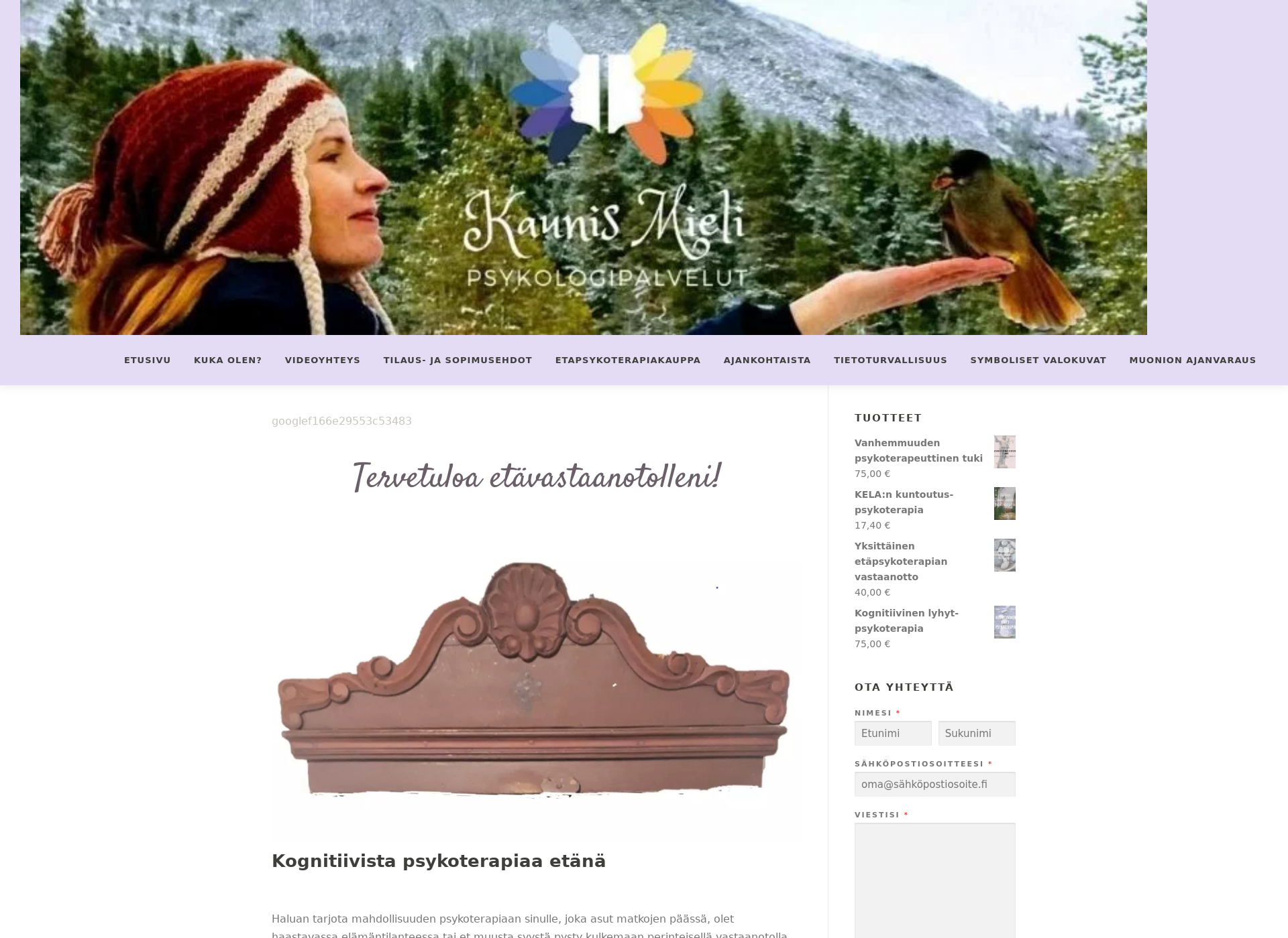 Screenshot for nettipsykoterapia.fi