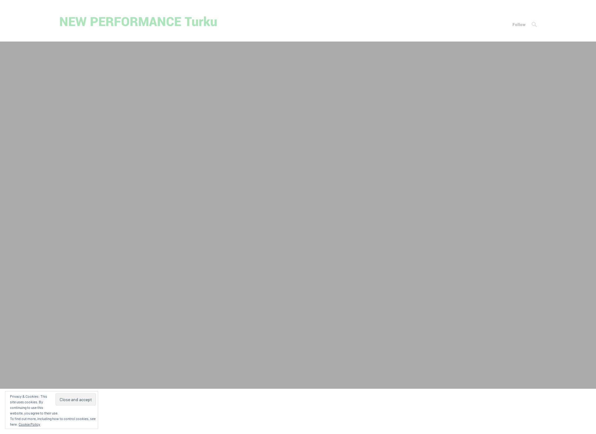 Screenshot for newperformance.fi