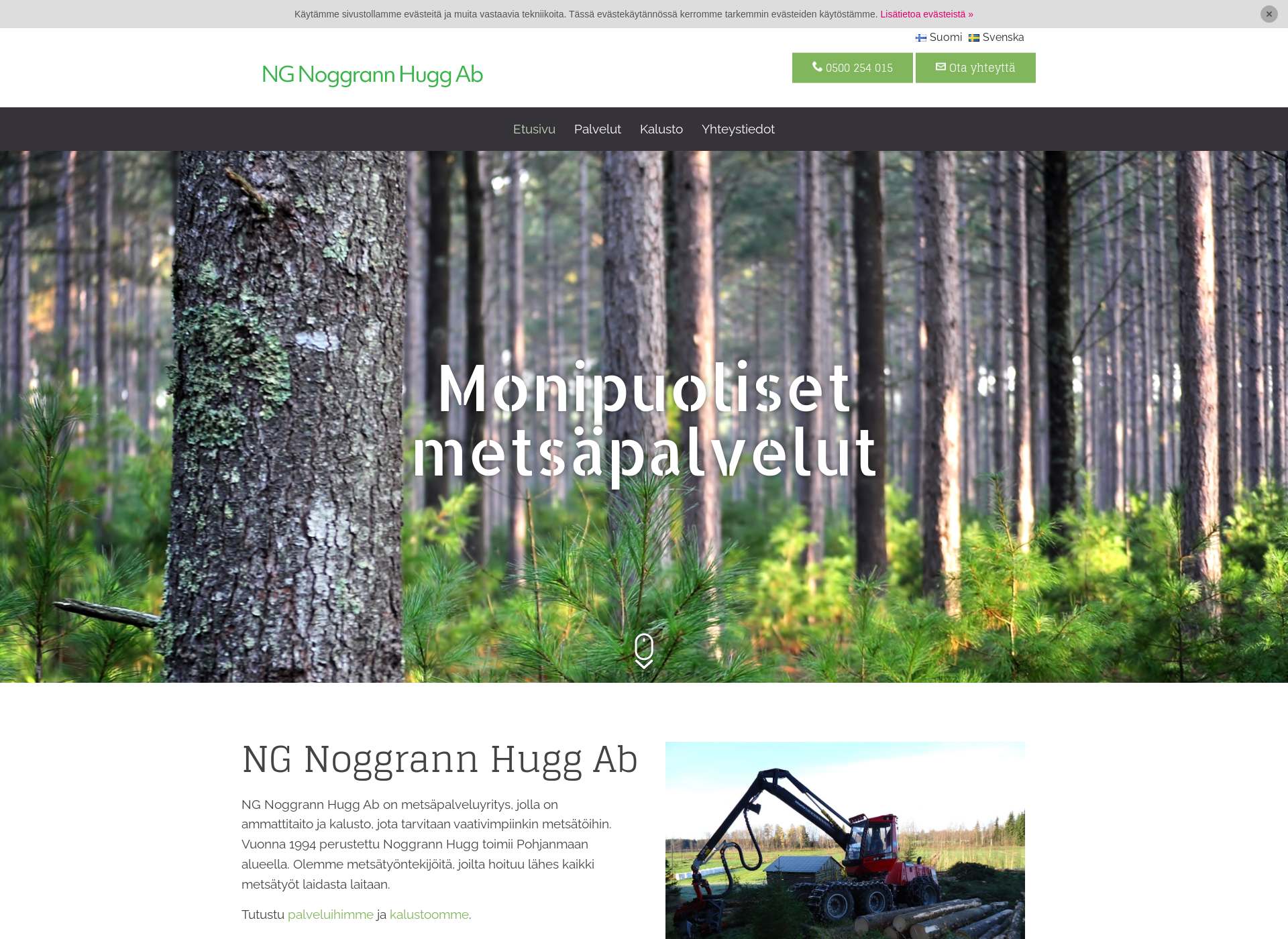 Screenshot for nghugg.fi