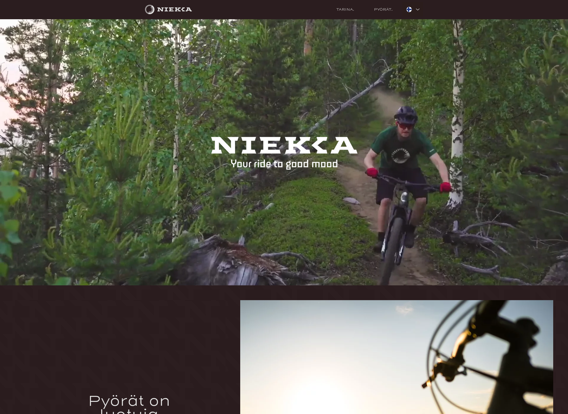 Screenshot for niekkabicycles.com