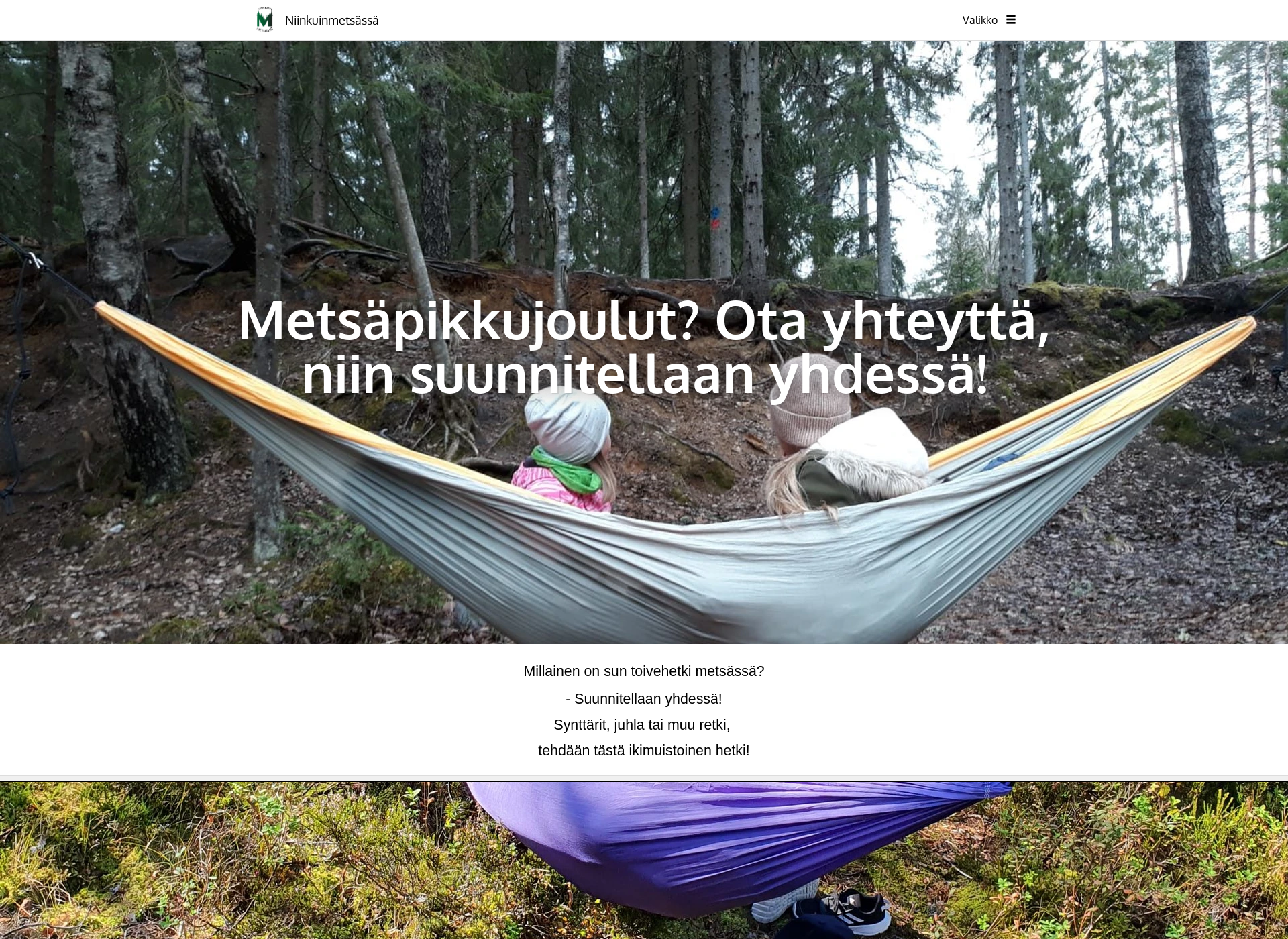 Screenshot for niinkuinmetsassa.fi