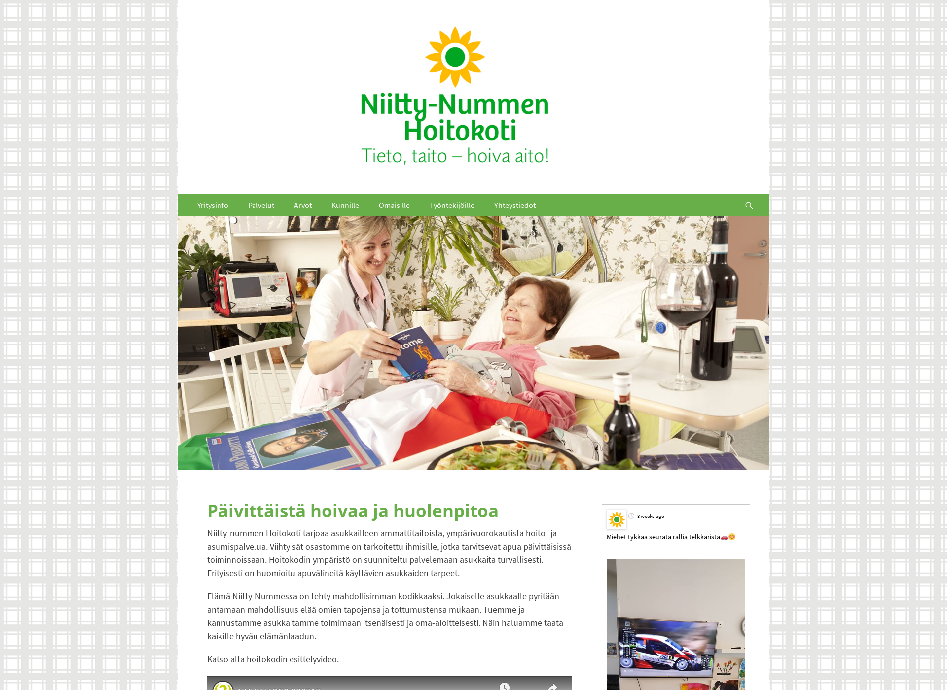Screenshot for niitty-nummenhoitokoti.fi