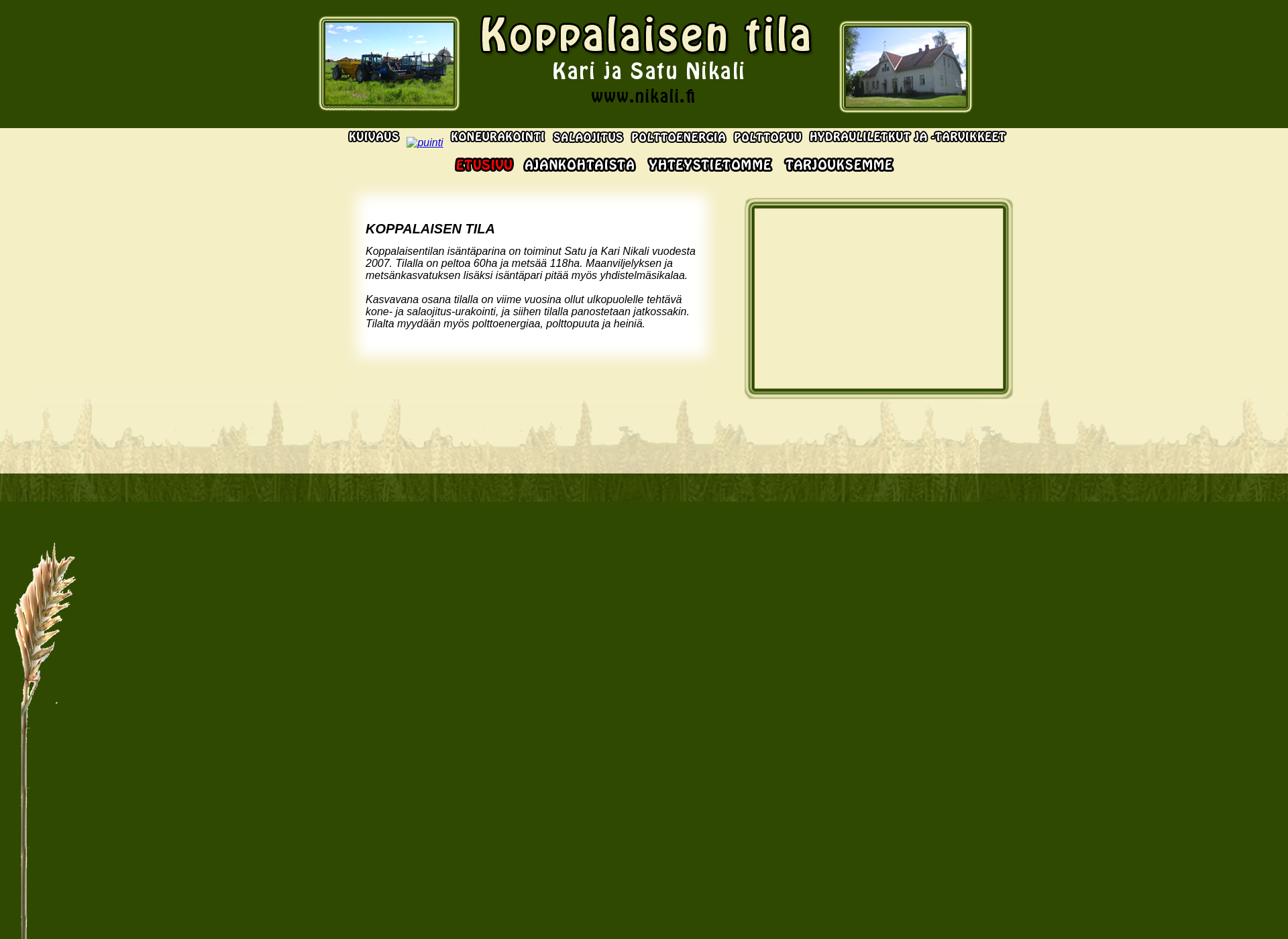 Screenshot for nikali.fi