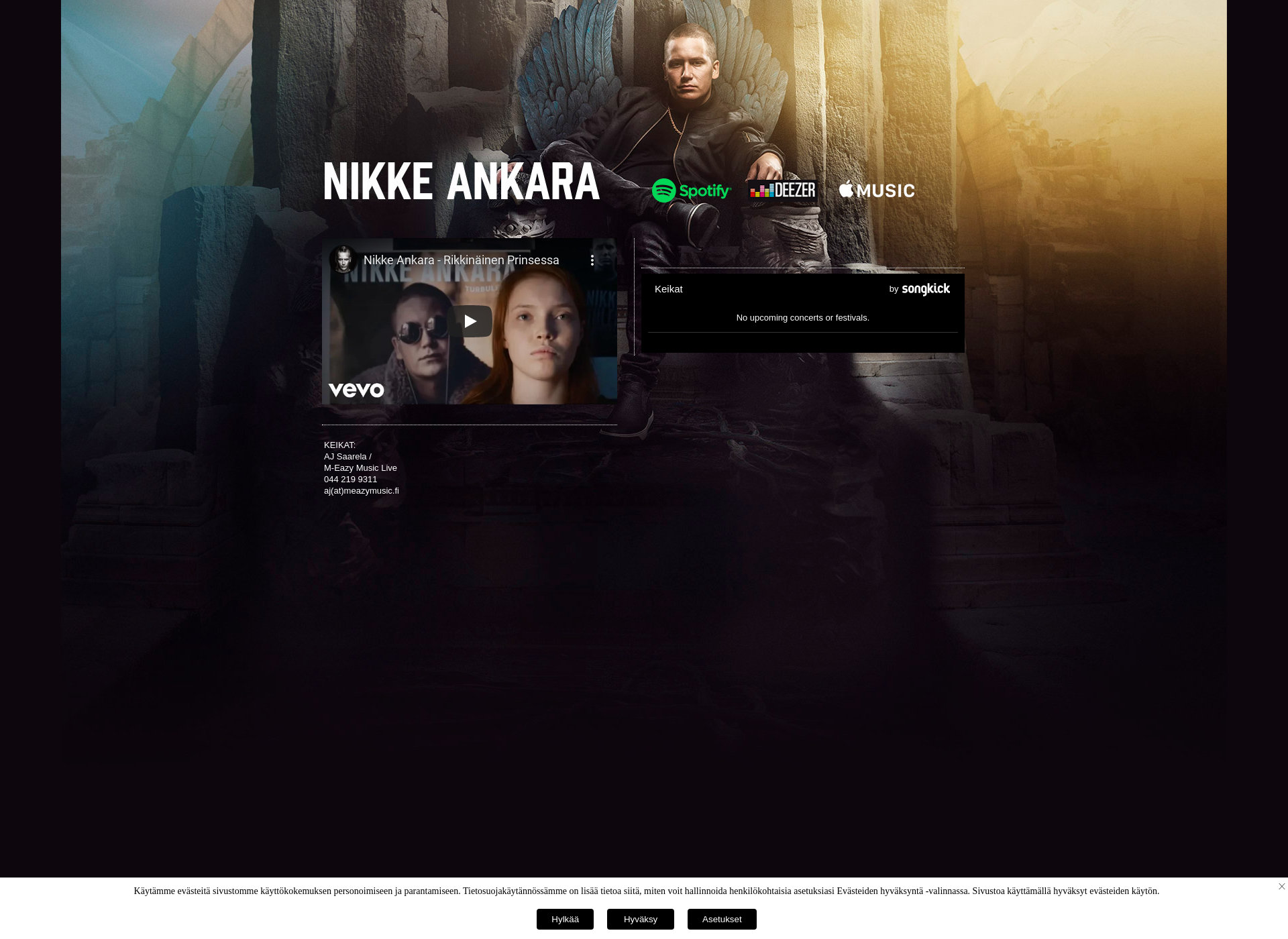 Screenshot for nikkeankara.fi
