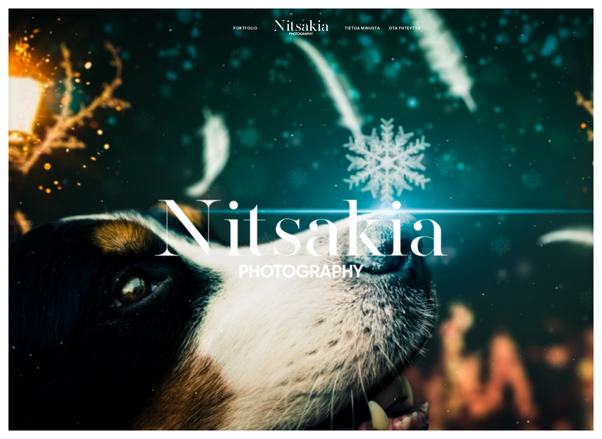 Screenshot for nitsakia.fi