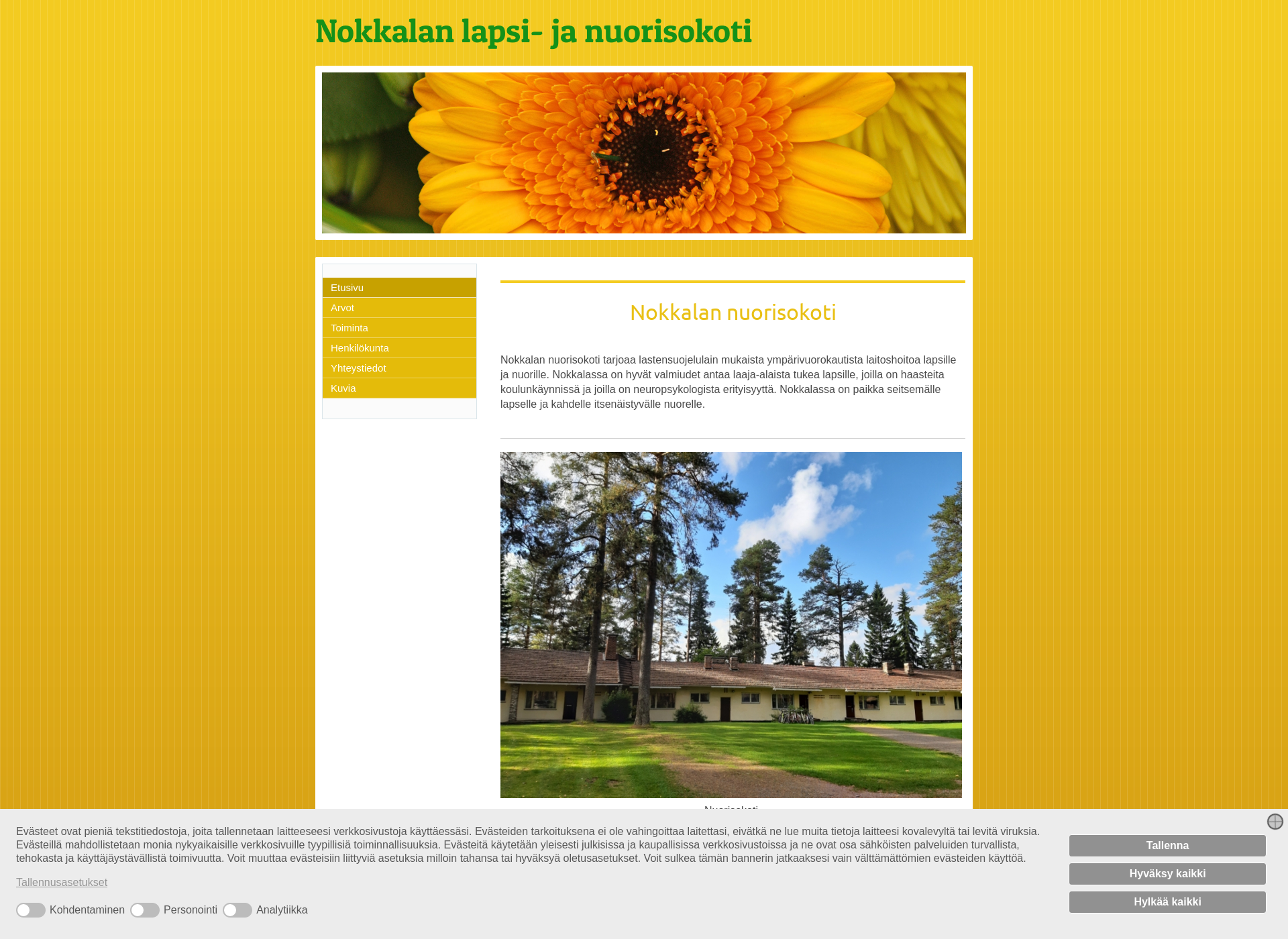 Screenshot for nokkalannuorisokoti.fi