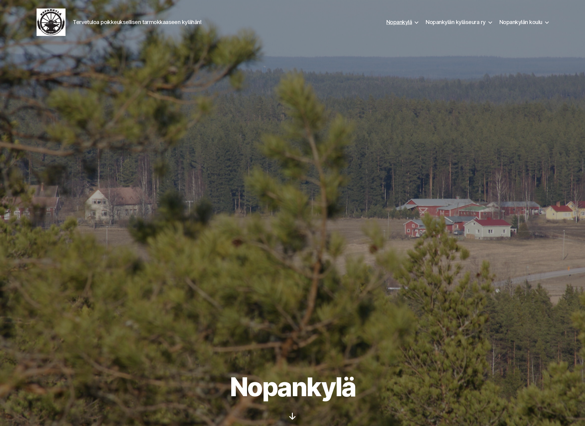 Skärmdump för nopankyla.fi