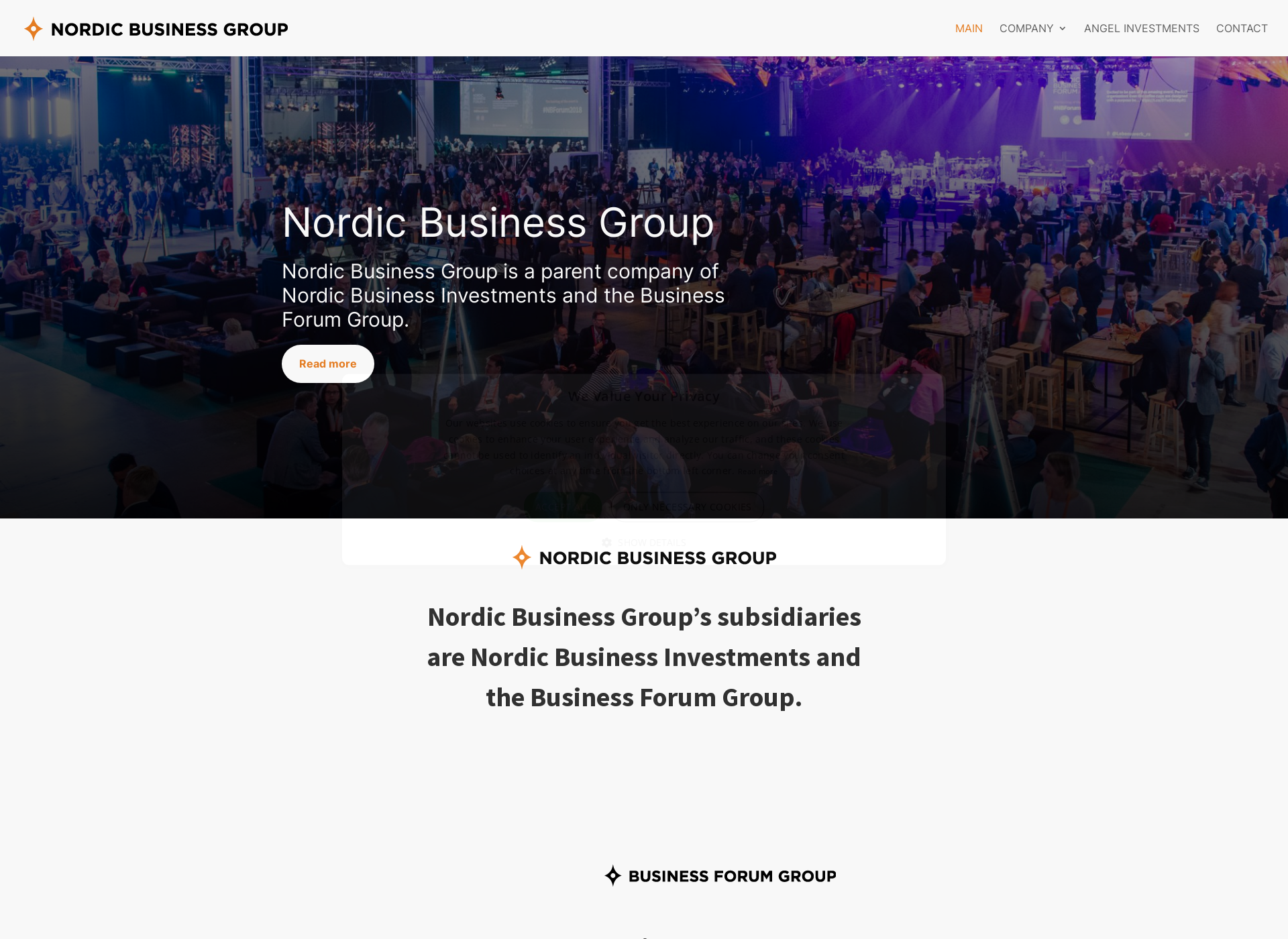 Screenshot for nordicbusinessgroup.fi