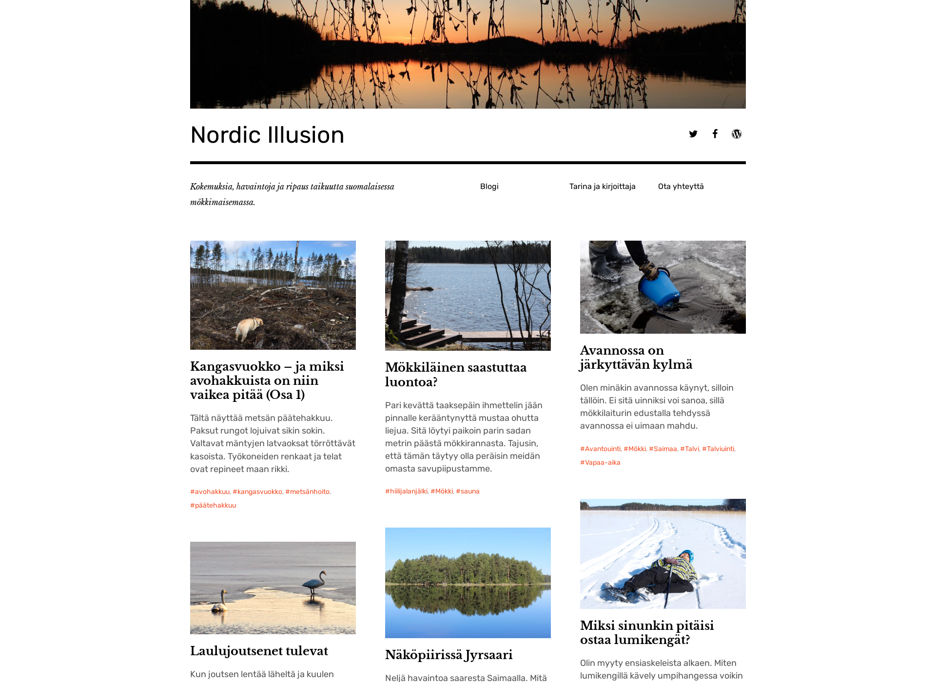 Skärmdump för nordicillusion.fi