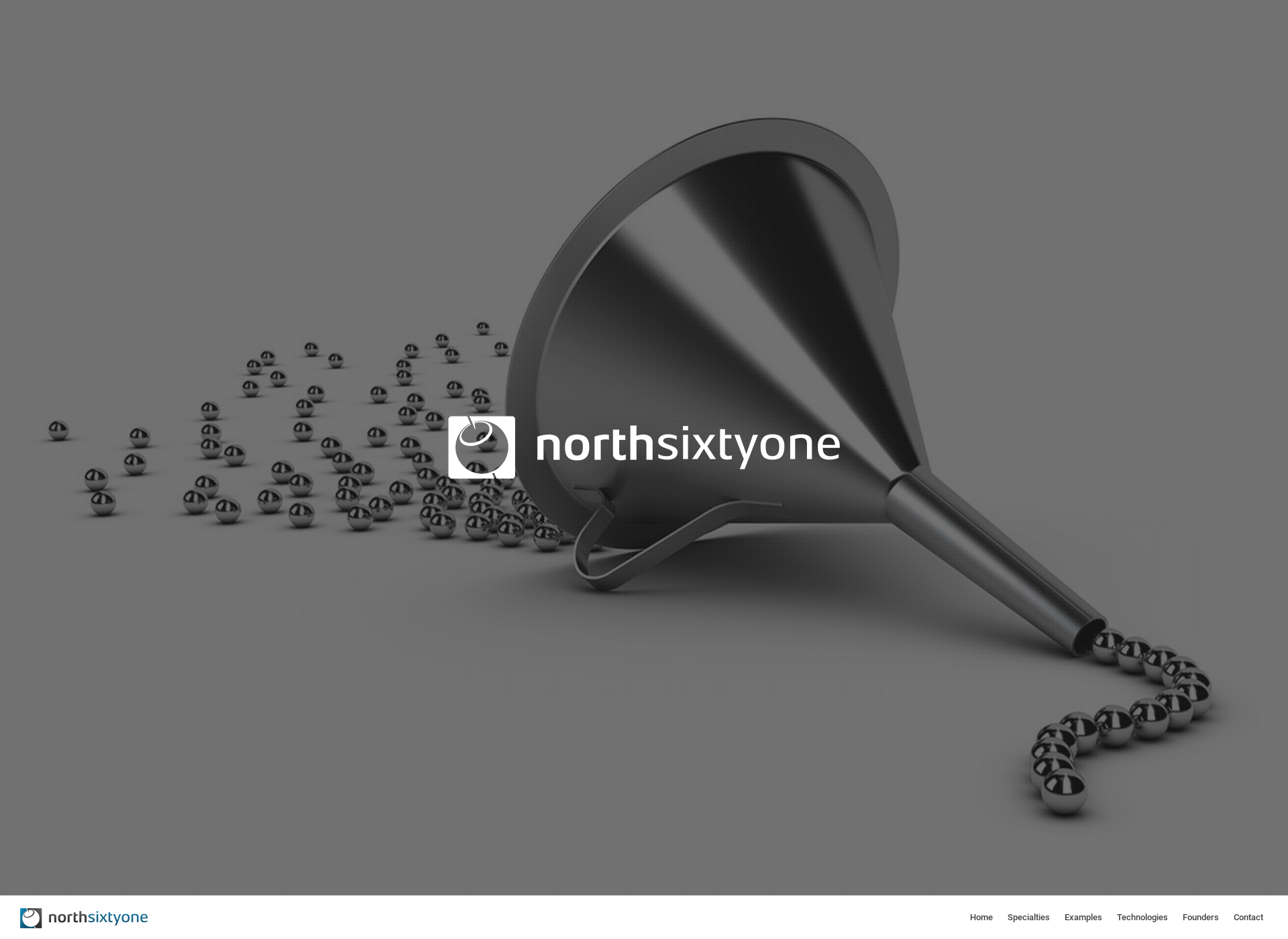 Screenshot for northsixtyone.com