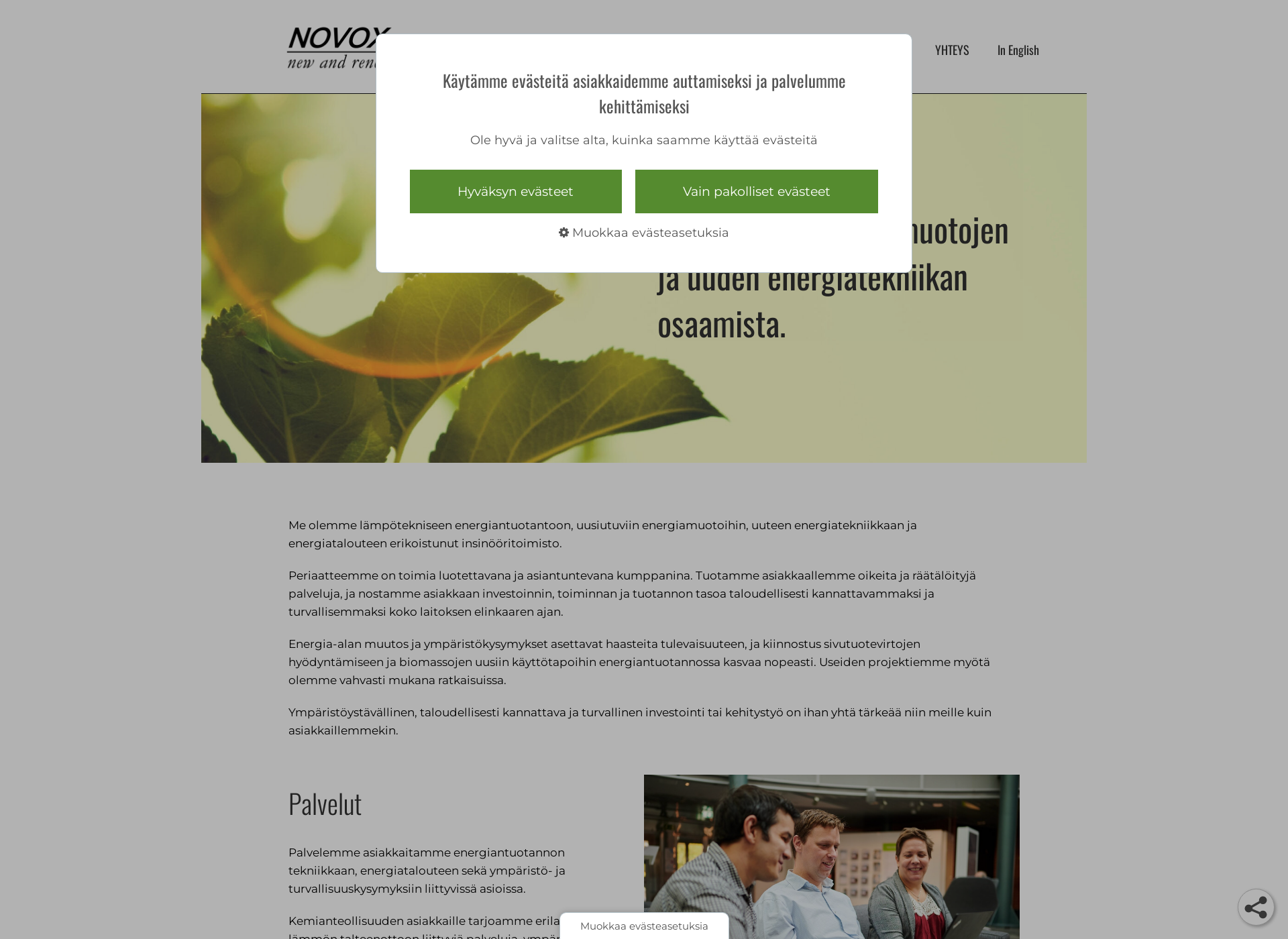 Skärmdump för novox.fi