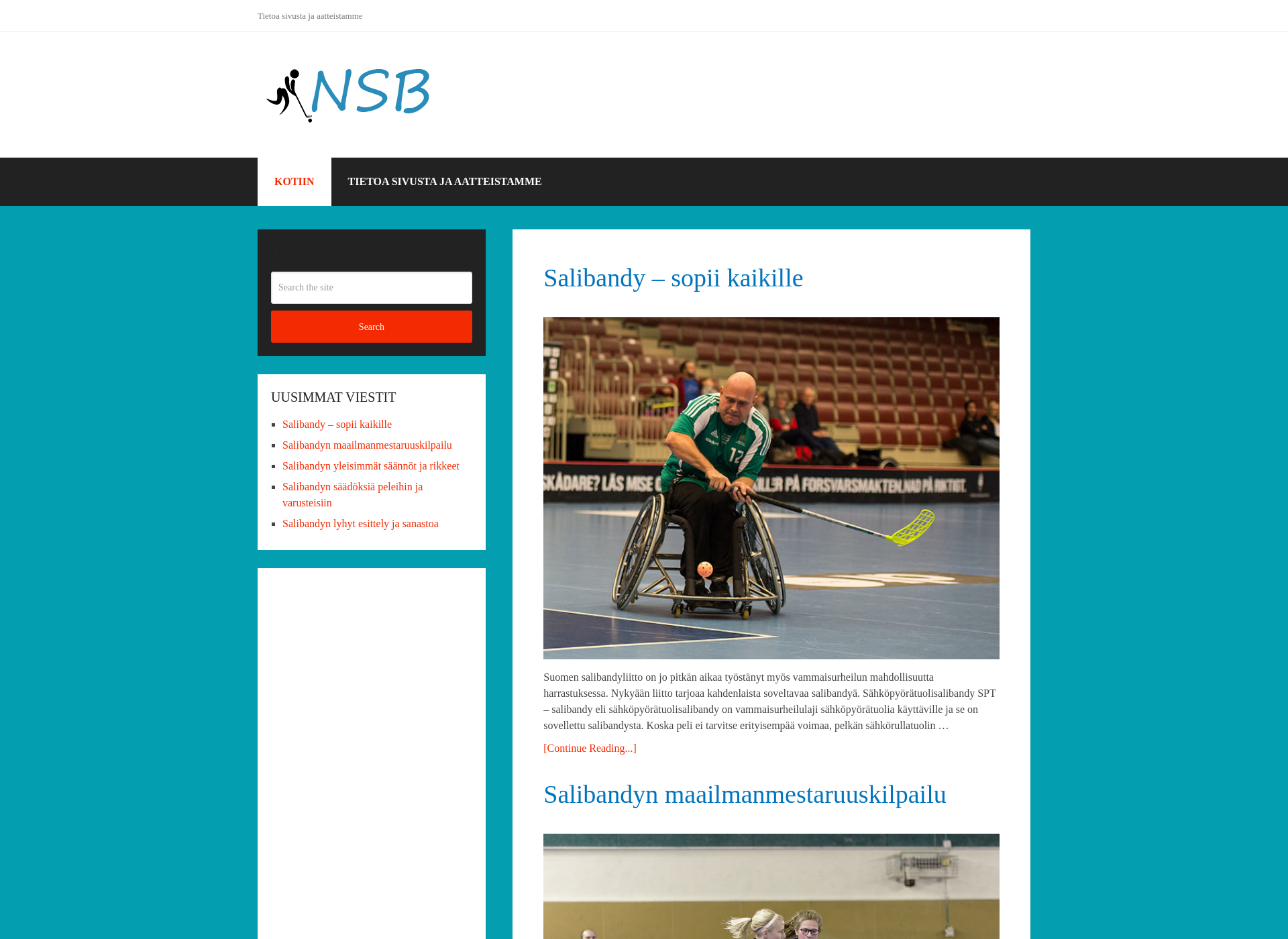 Screenshot for nsb.fi