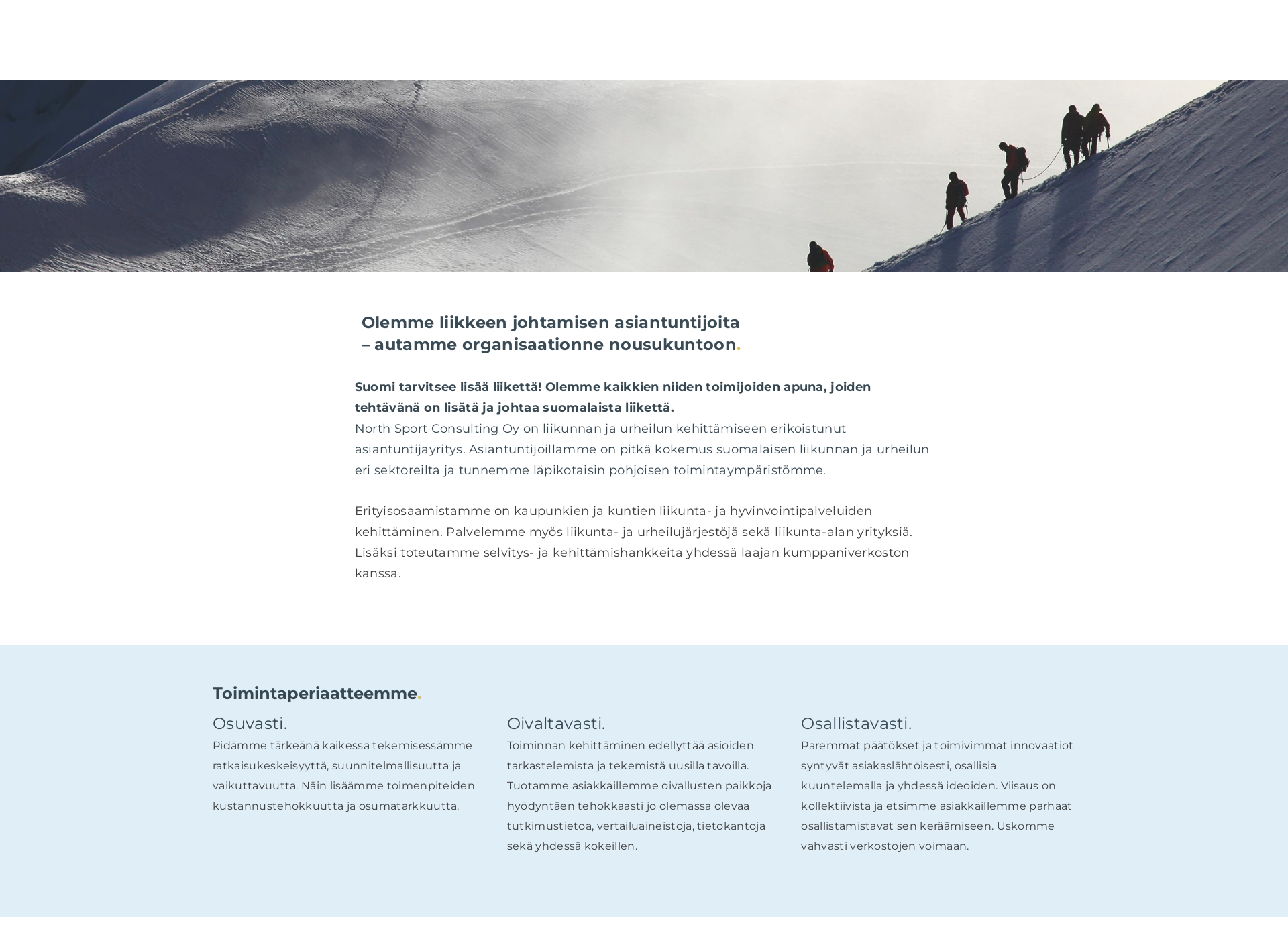 Skärmdump för nsconsulting.fi