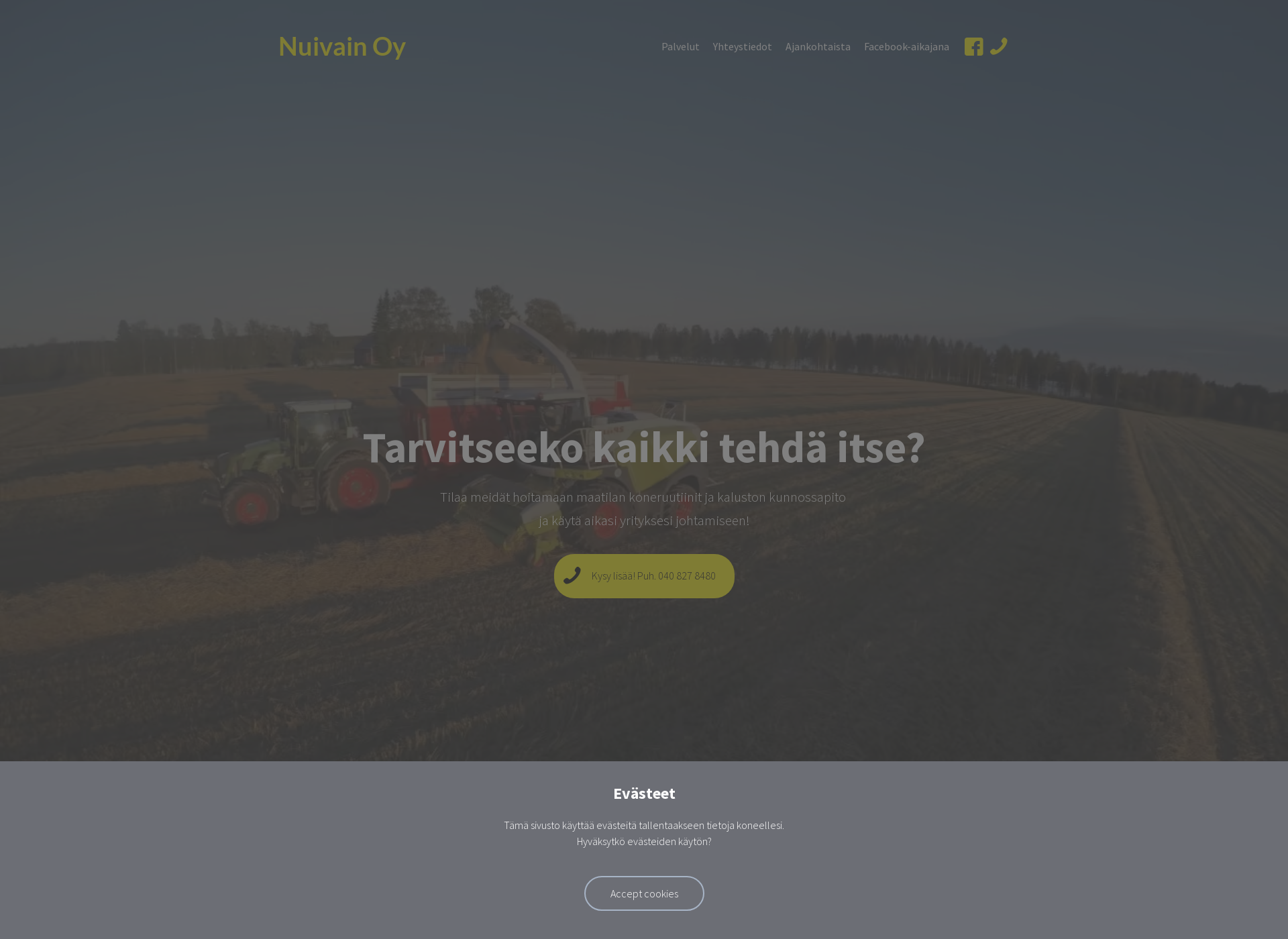 Screenshot for nuivain.fi