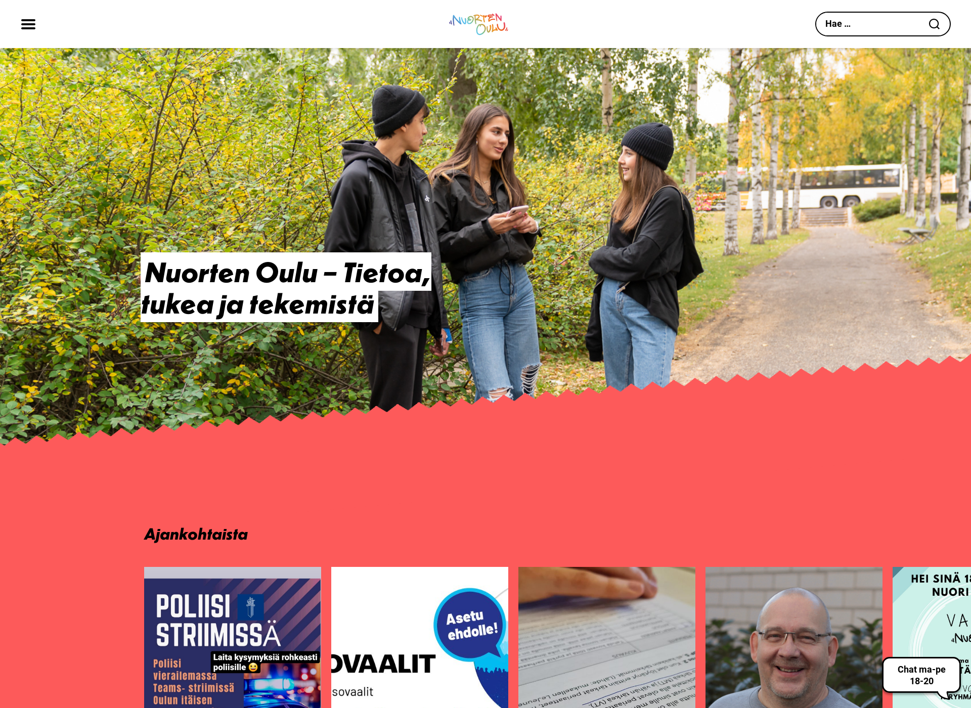 Screenshot for nuortenoulu.fi