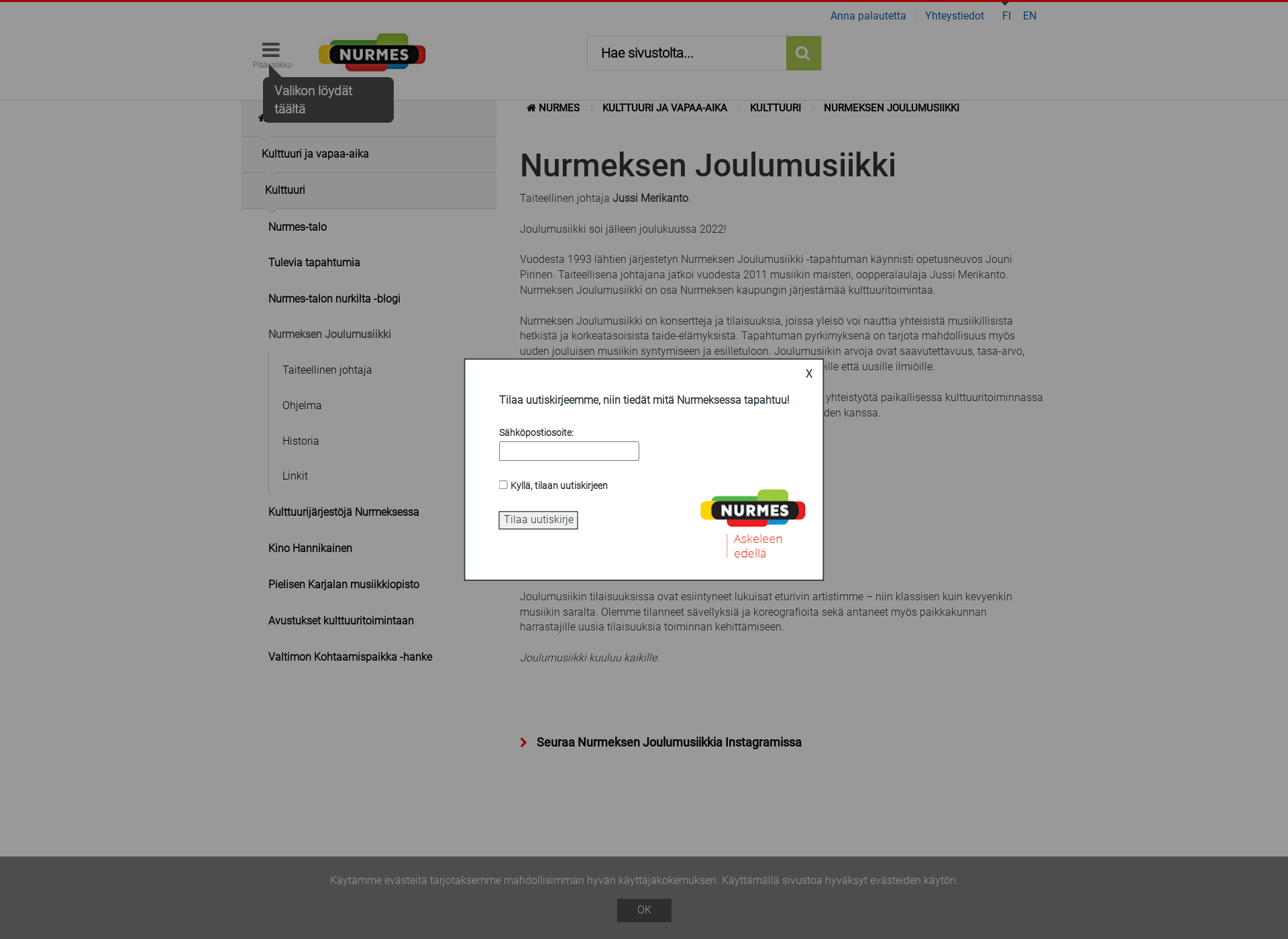 Screenshot for nurmeksenjoulumusiikki.fi