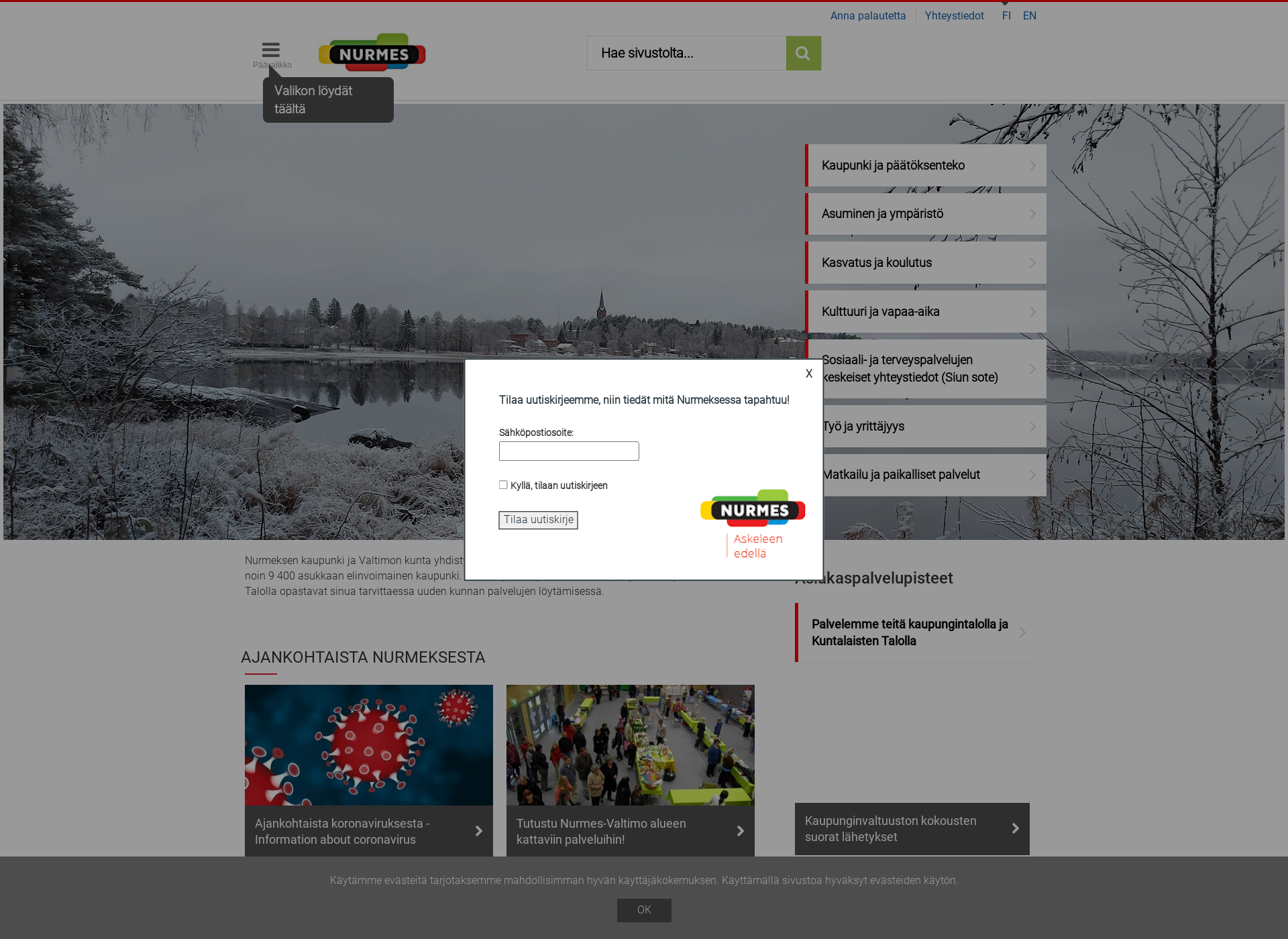 Screenshot for nurmes.fi