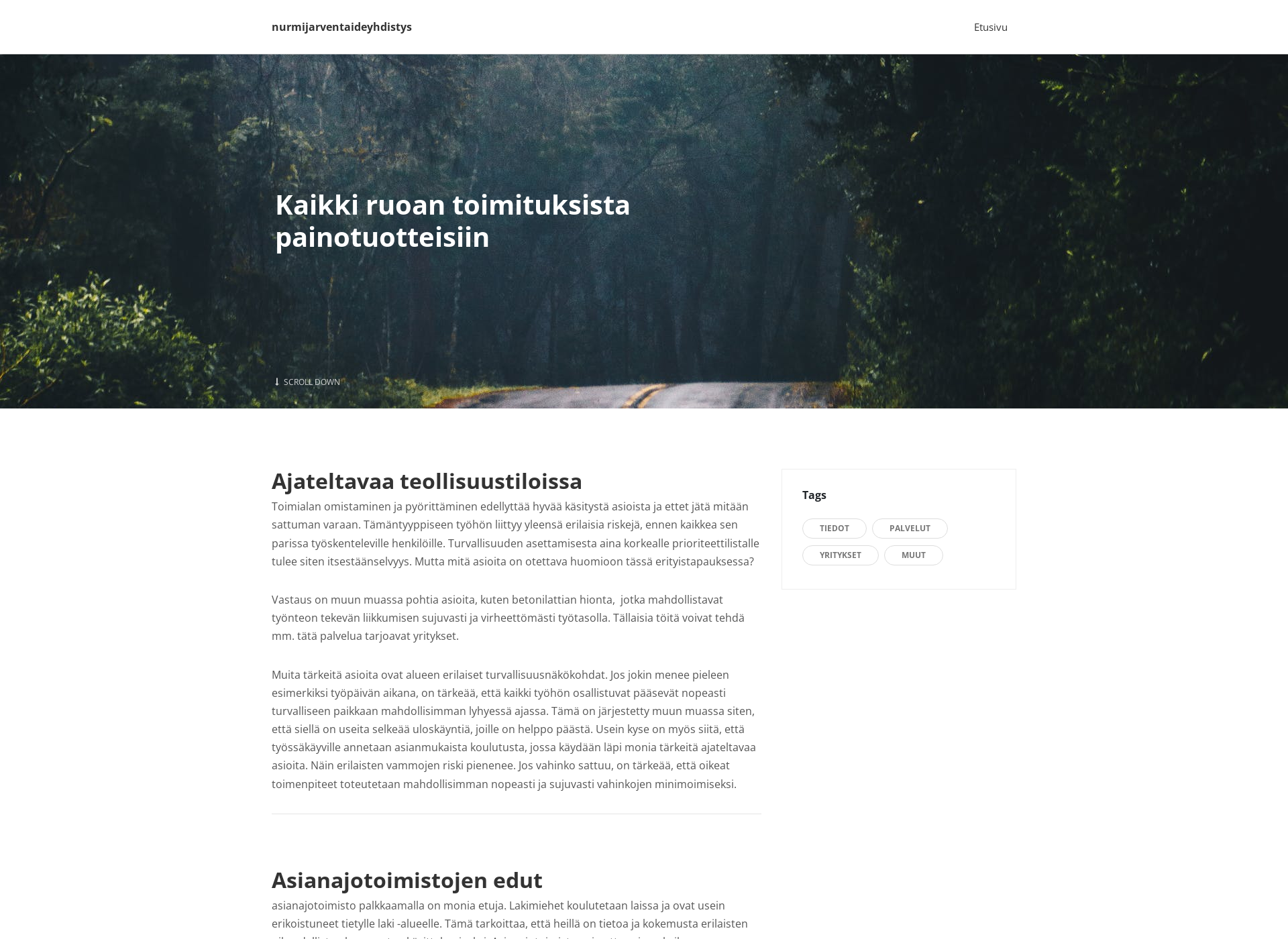 Screenshot for nurmijarventaideyhdistys.fi