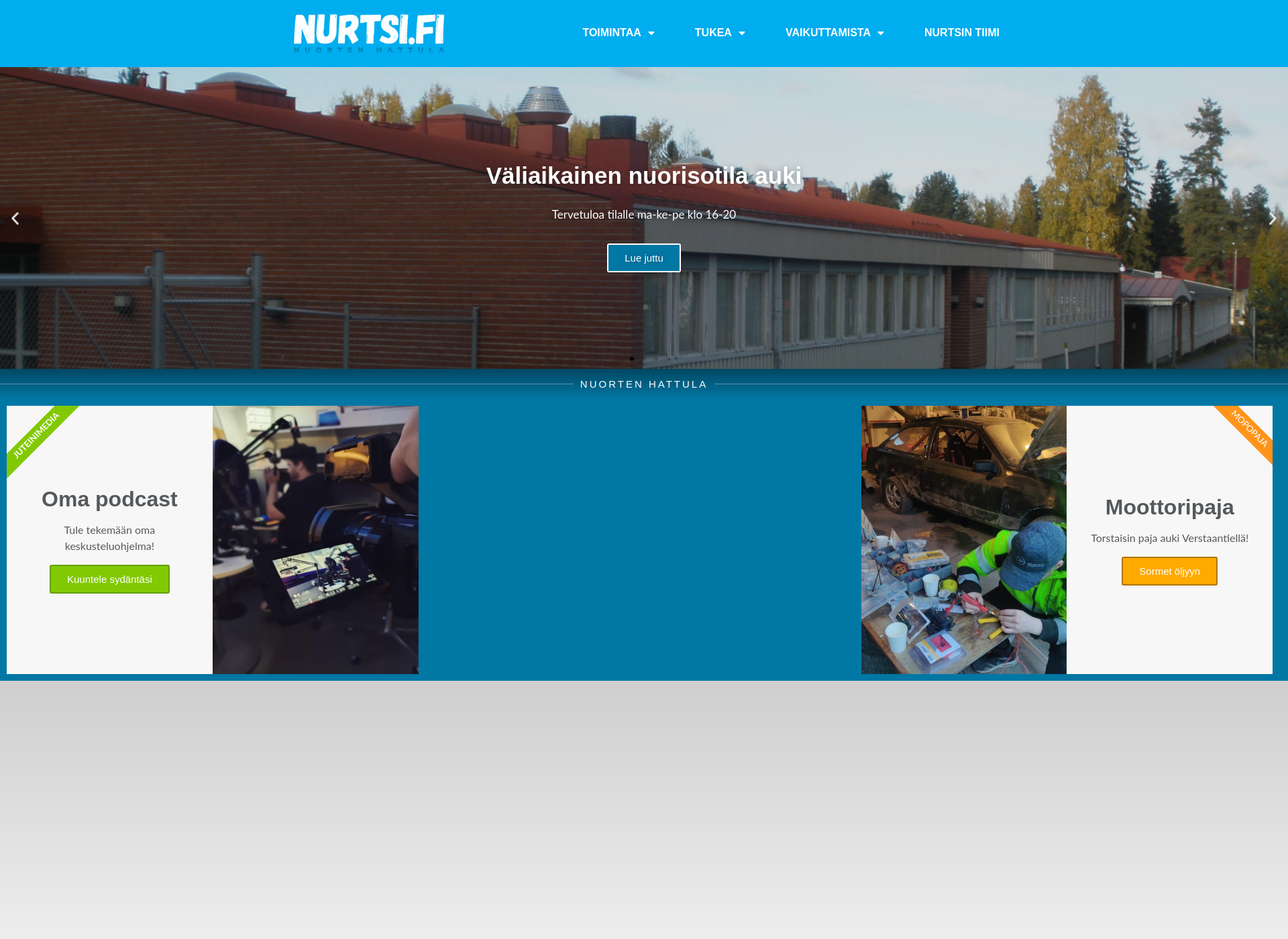 Screenshot for nurtsi.fi
