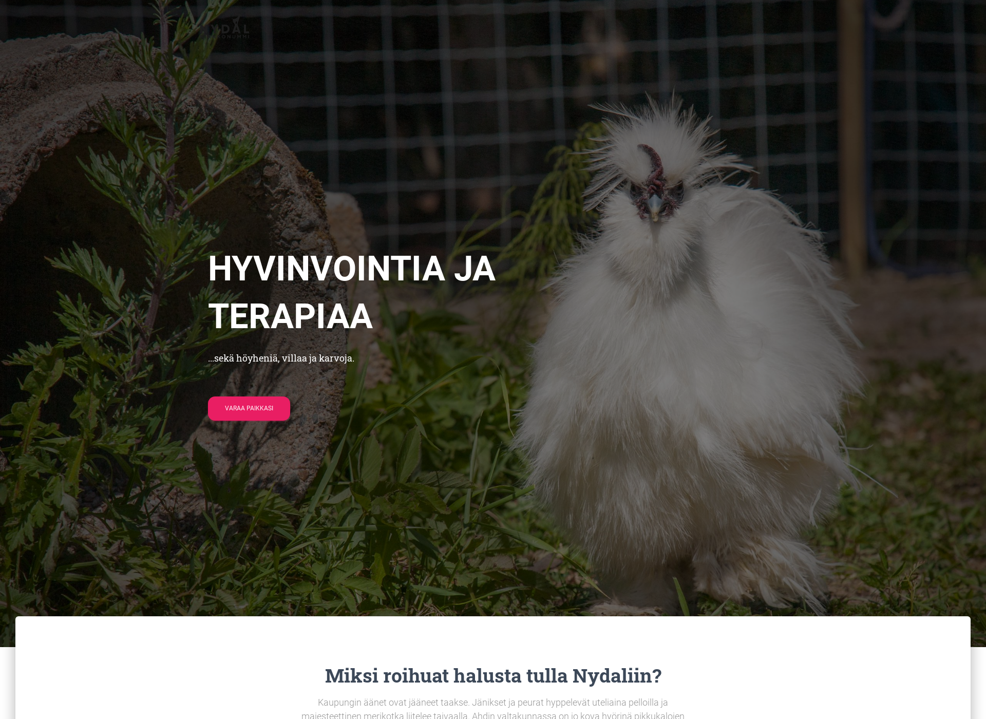 Näyttökuva nydal.fi