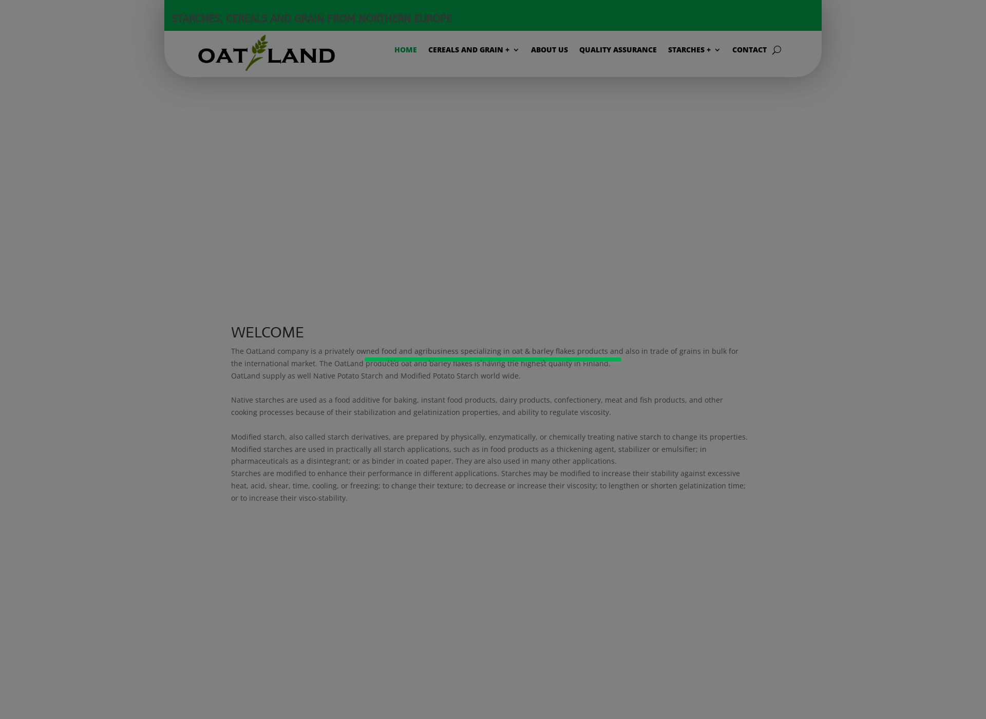 Screenshot for oatland.fi