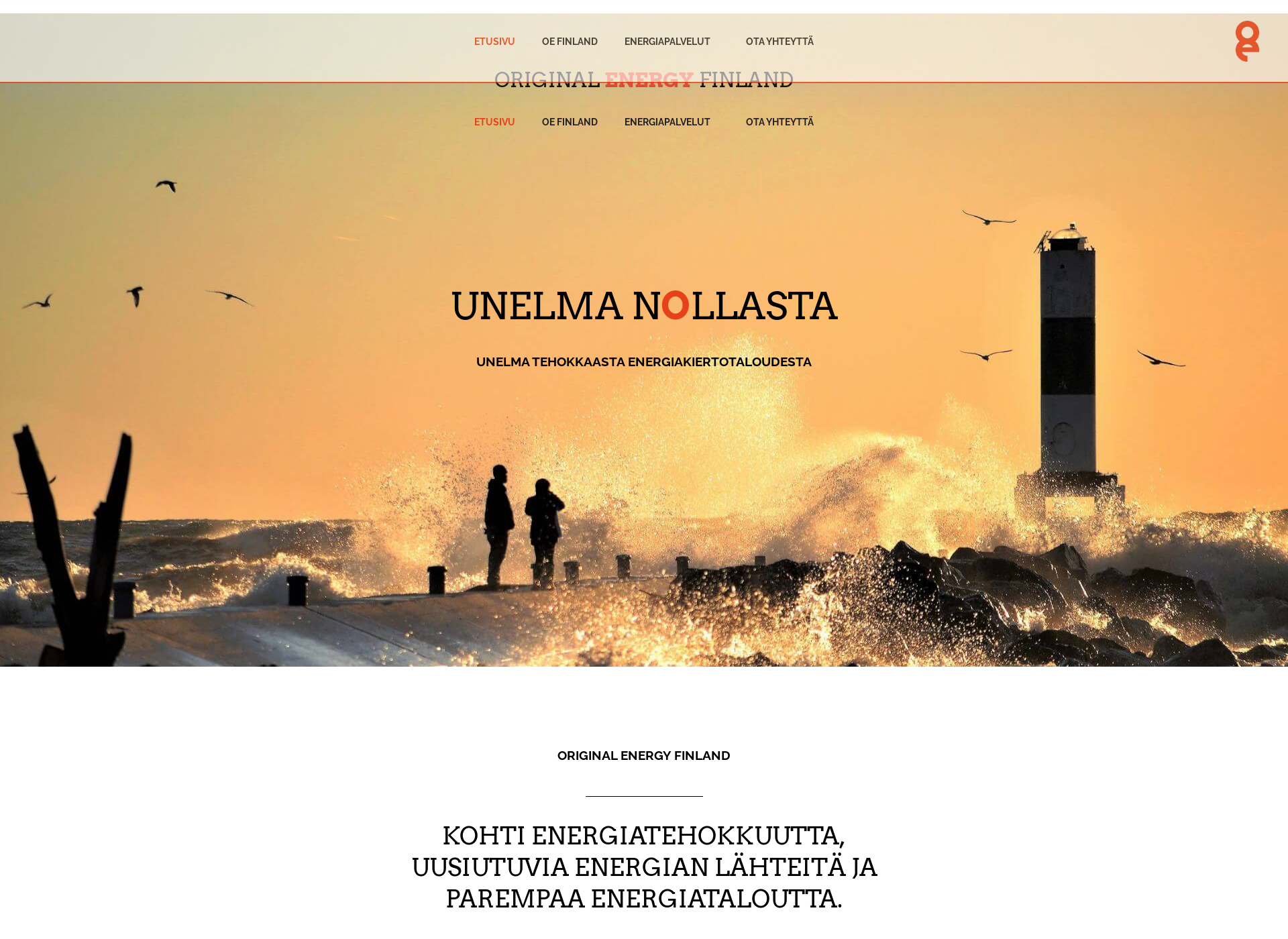 Screenshot for oefinland.fi