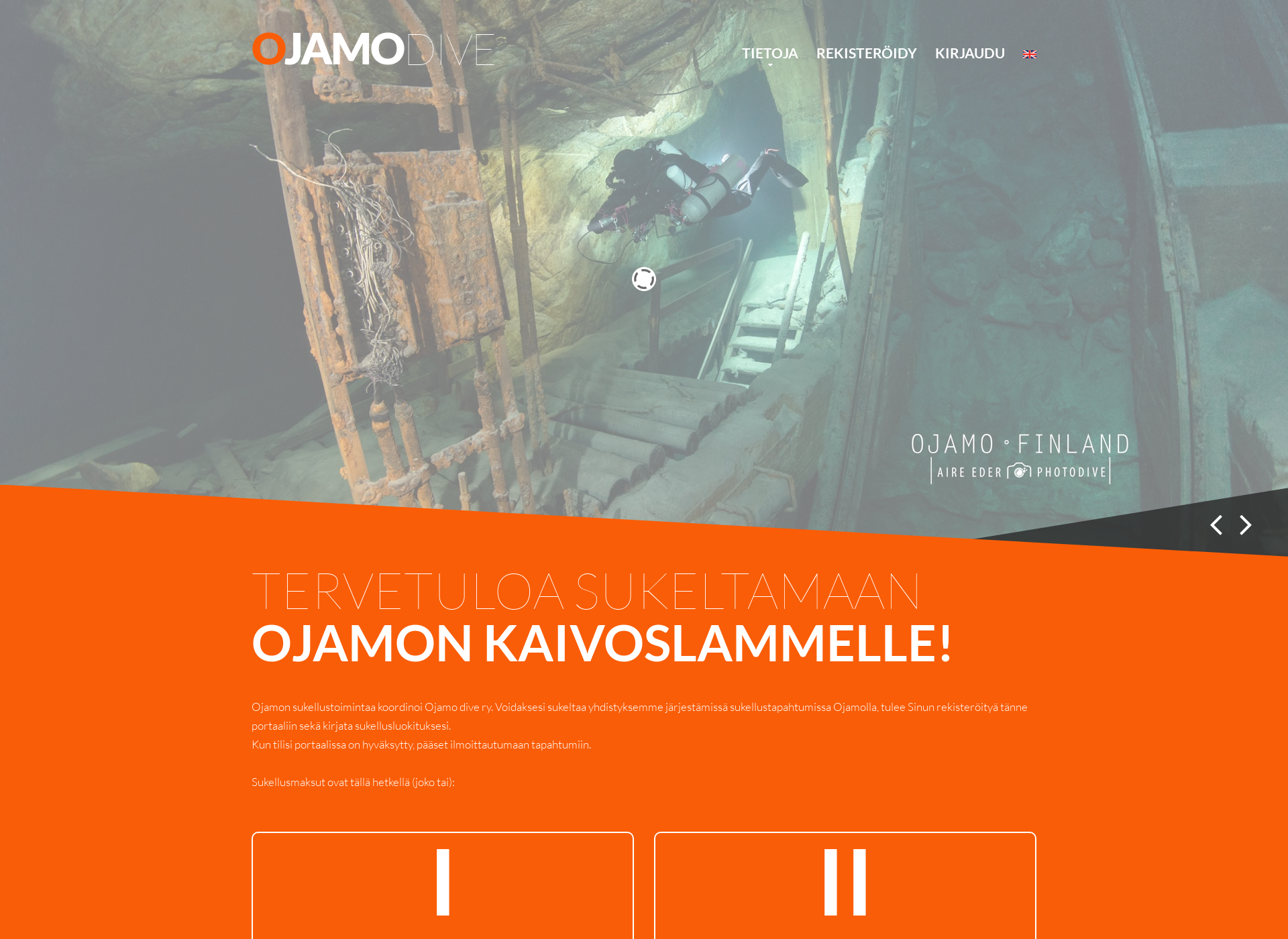 Screenshot for ojamodive.fi