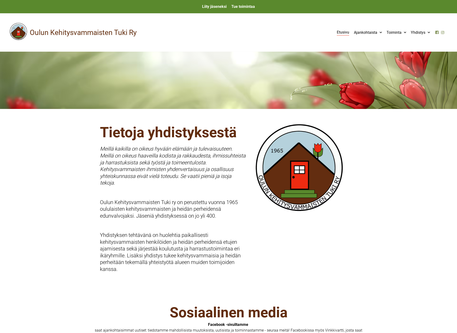 Skärmdump för oketuki.fi